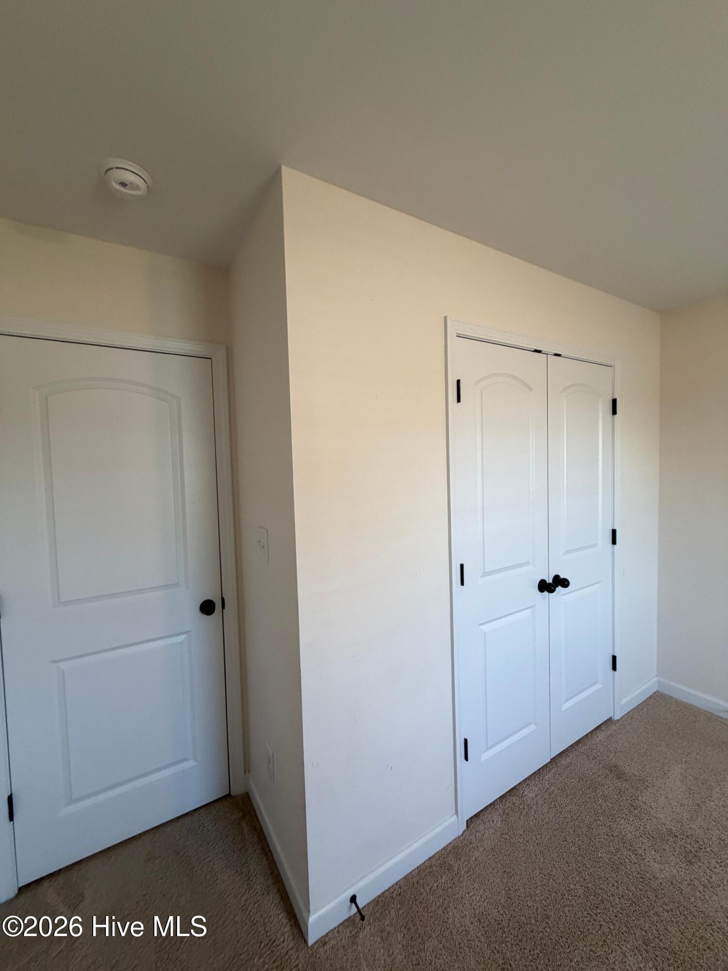 100563826 | Photo 22