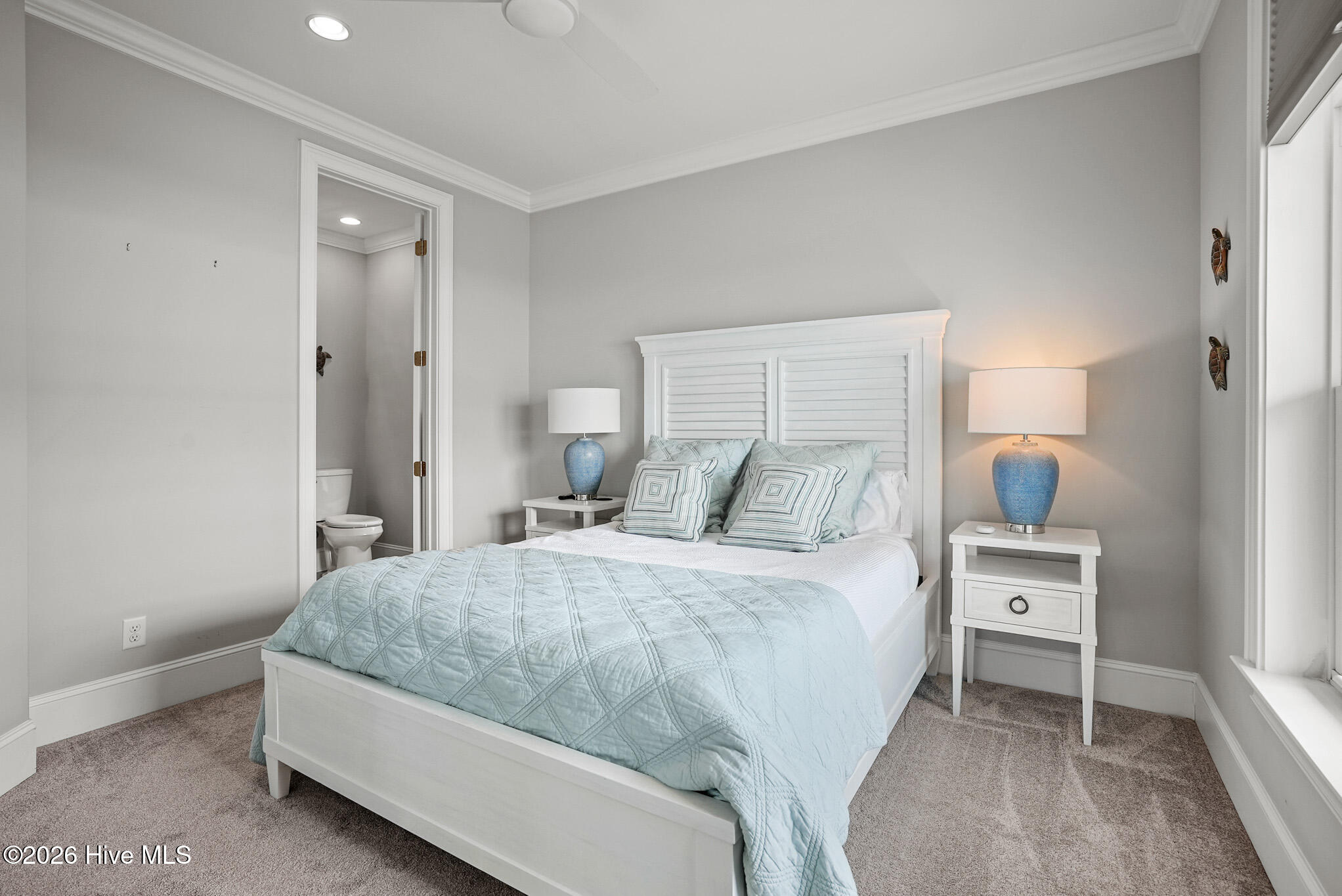 100558393 | Photo 23