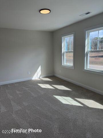 100539556 | Photo 22