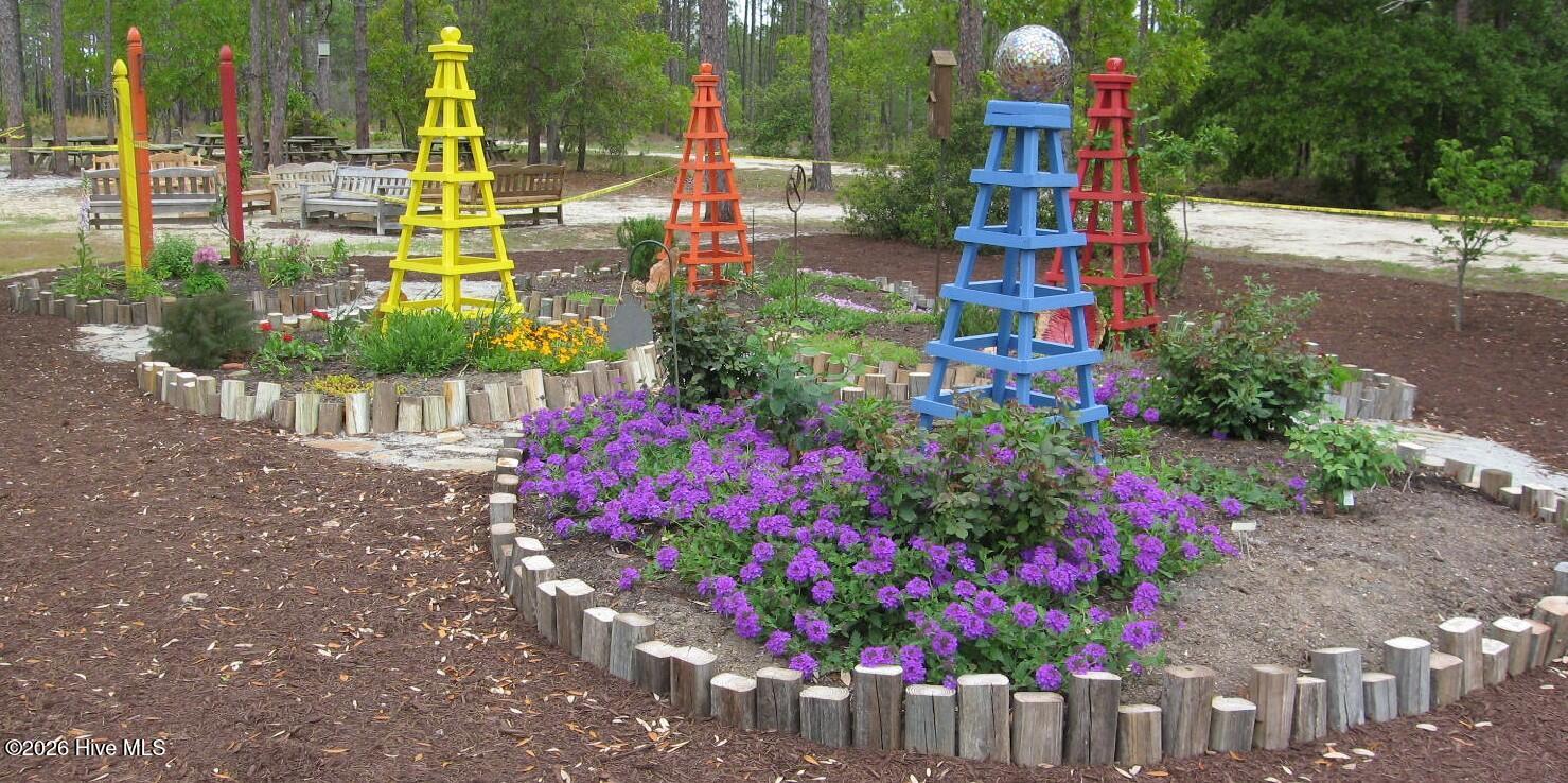 100567178 | Photo 22