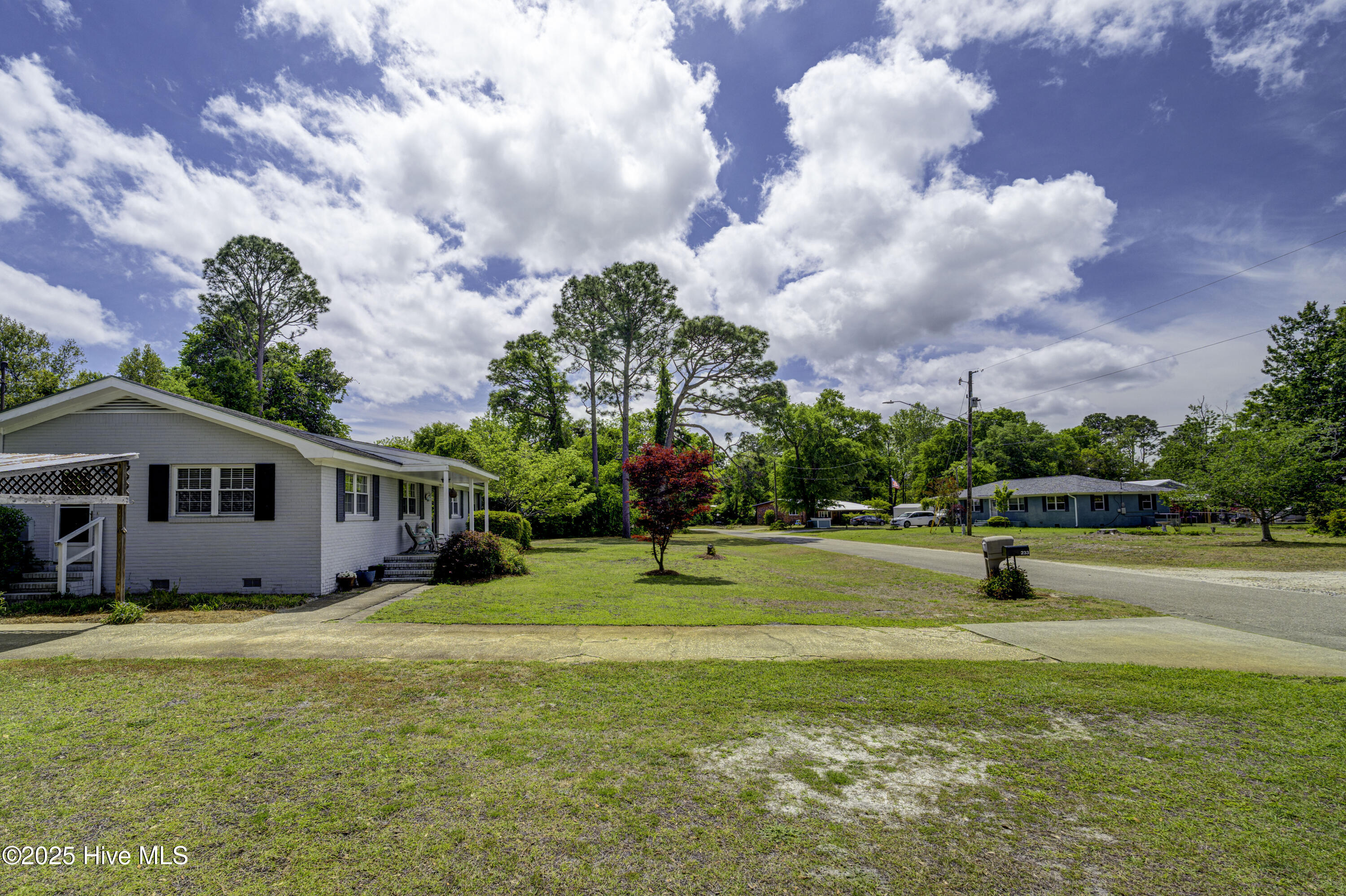 100525965 | Photo 35