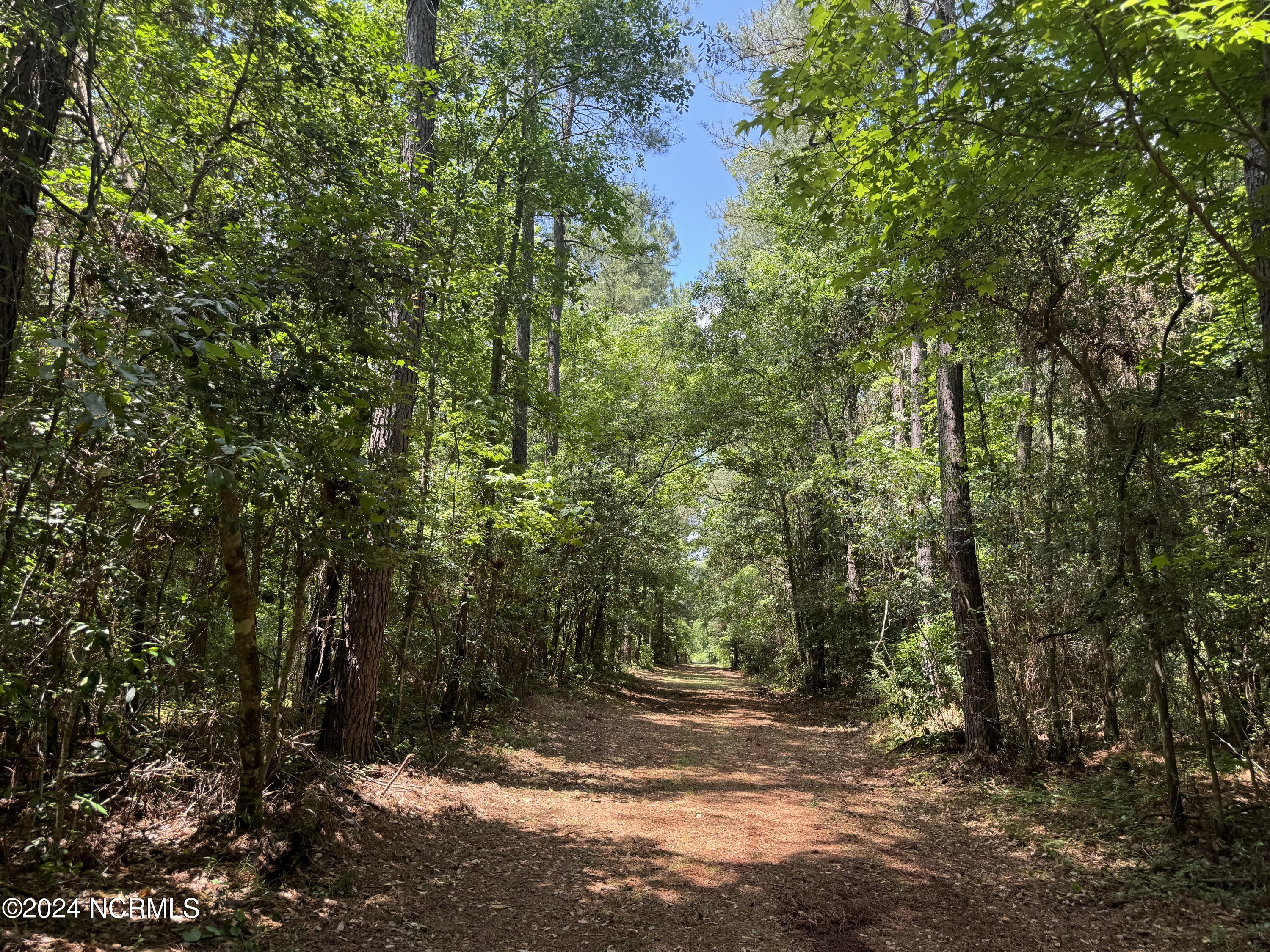 100524408 | Photo 38