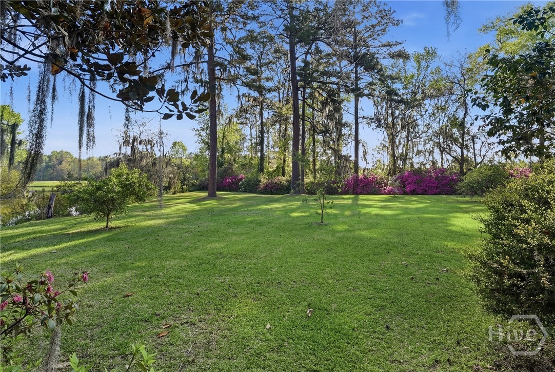 *Grass has been digitally enhanced*