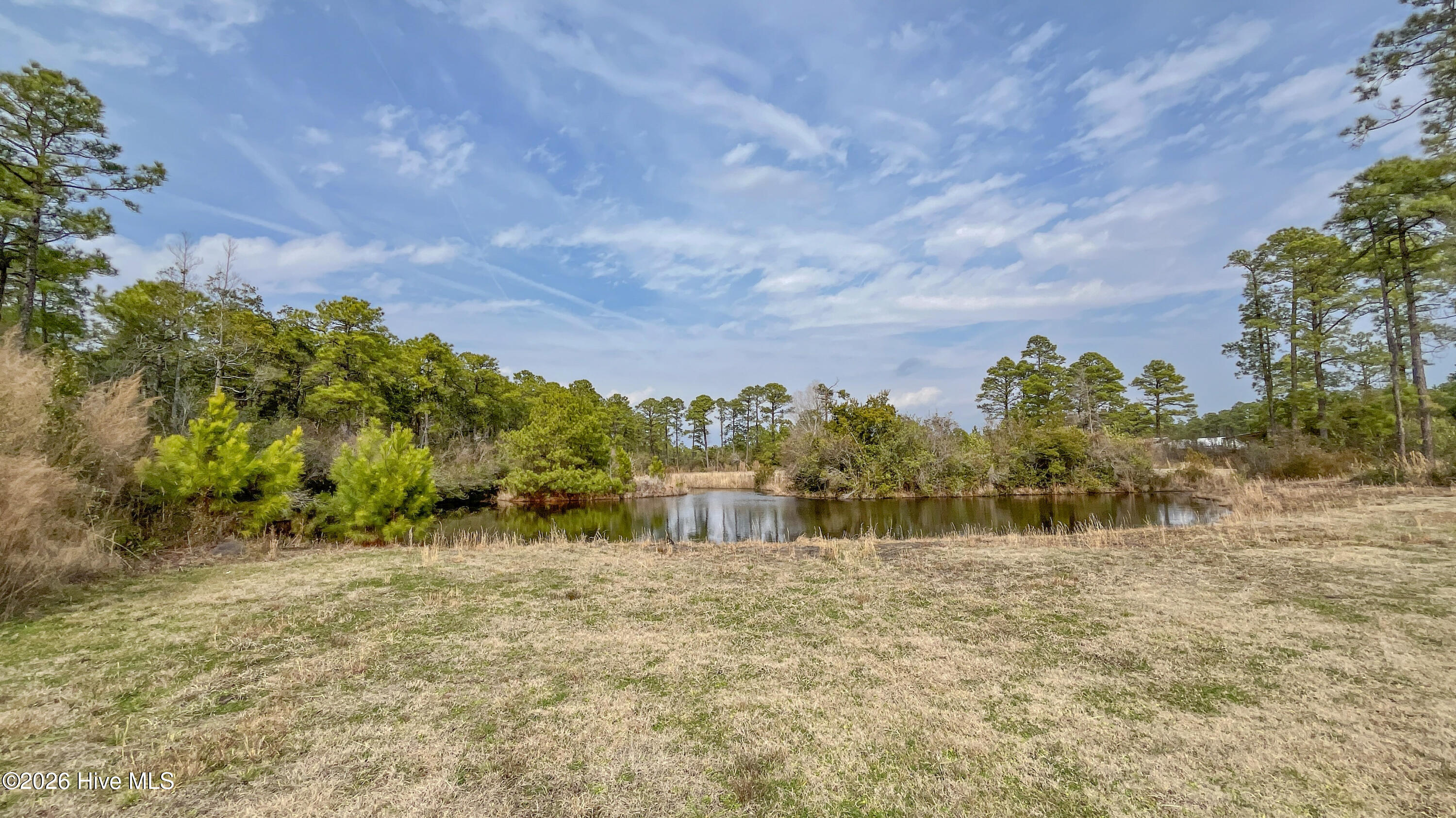 100554657 | Photo 17