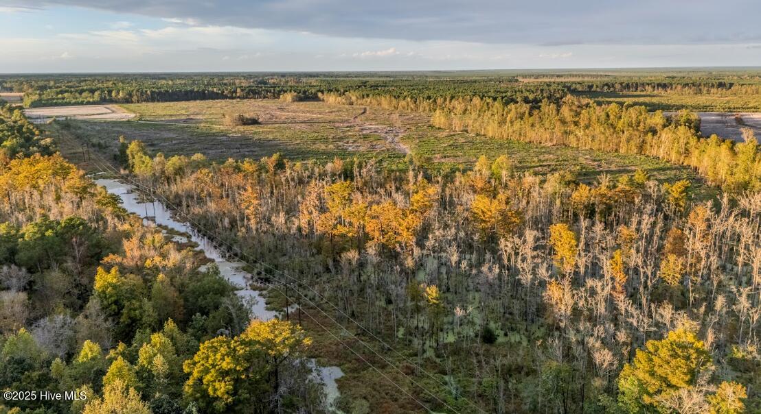 100538697 | Photo 11