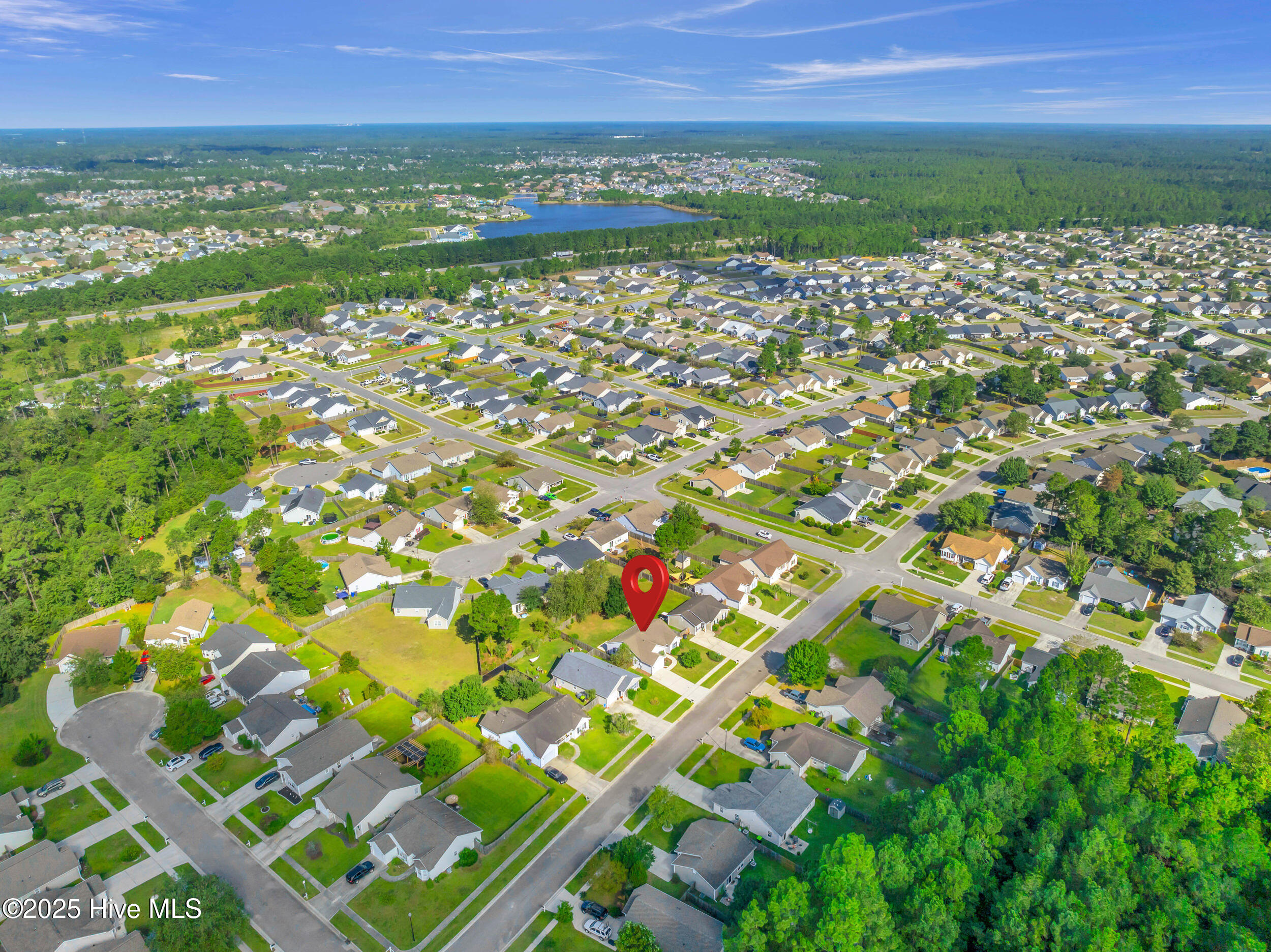 100531255 | Photo 44