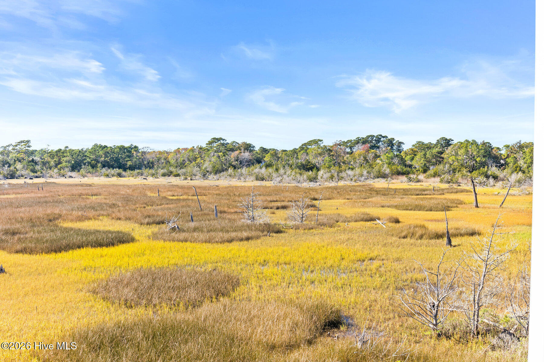 100558042 | Photo 73