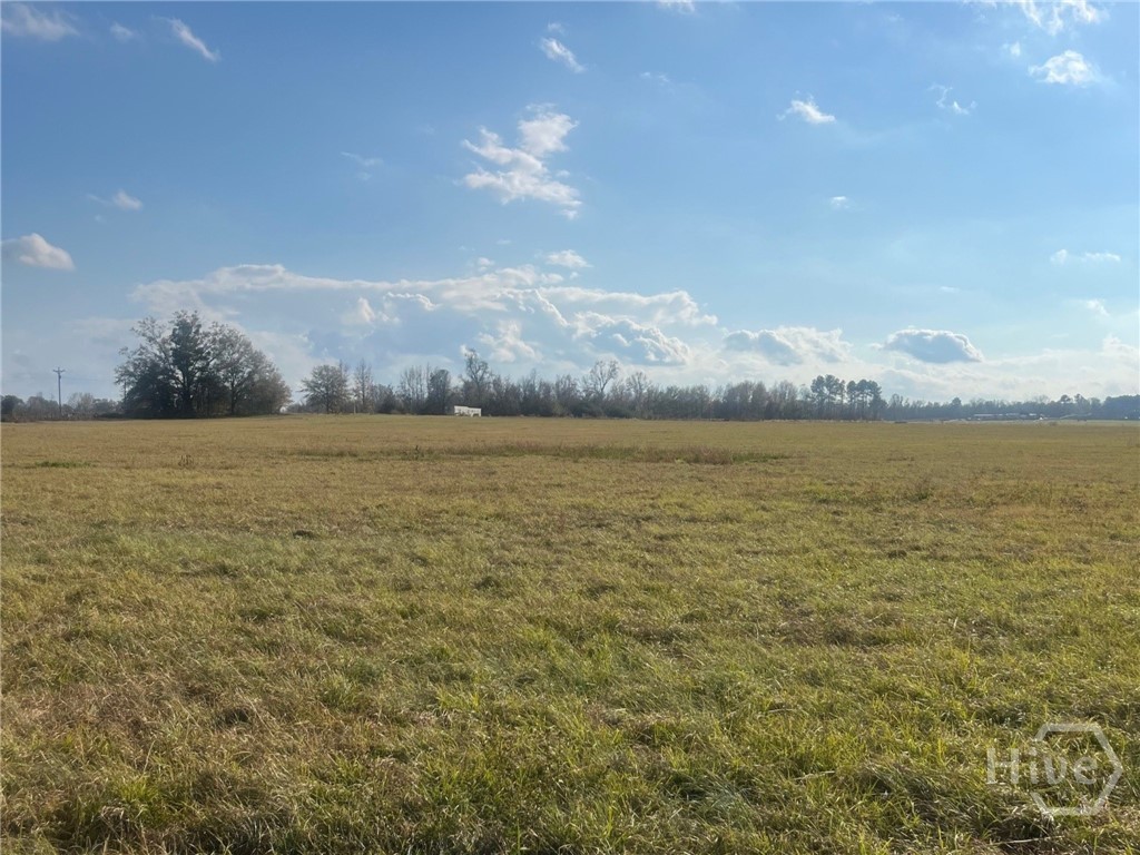 Homes for sale in Millen, GA | 0 Old Savannah Rd W, Millen, GA 30442 | MLS# SA344167