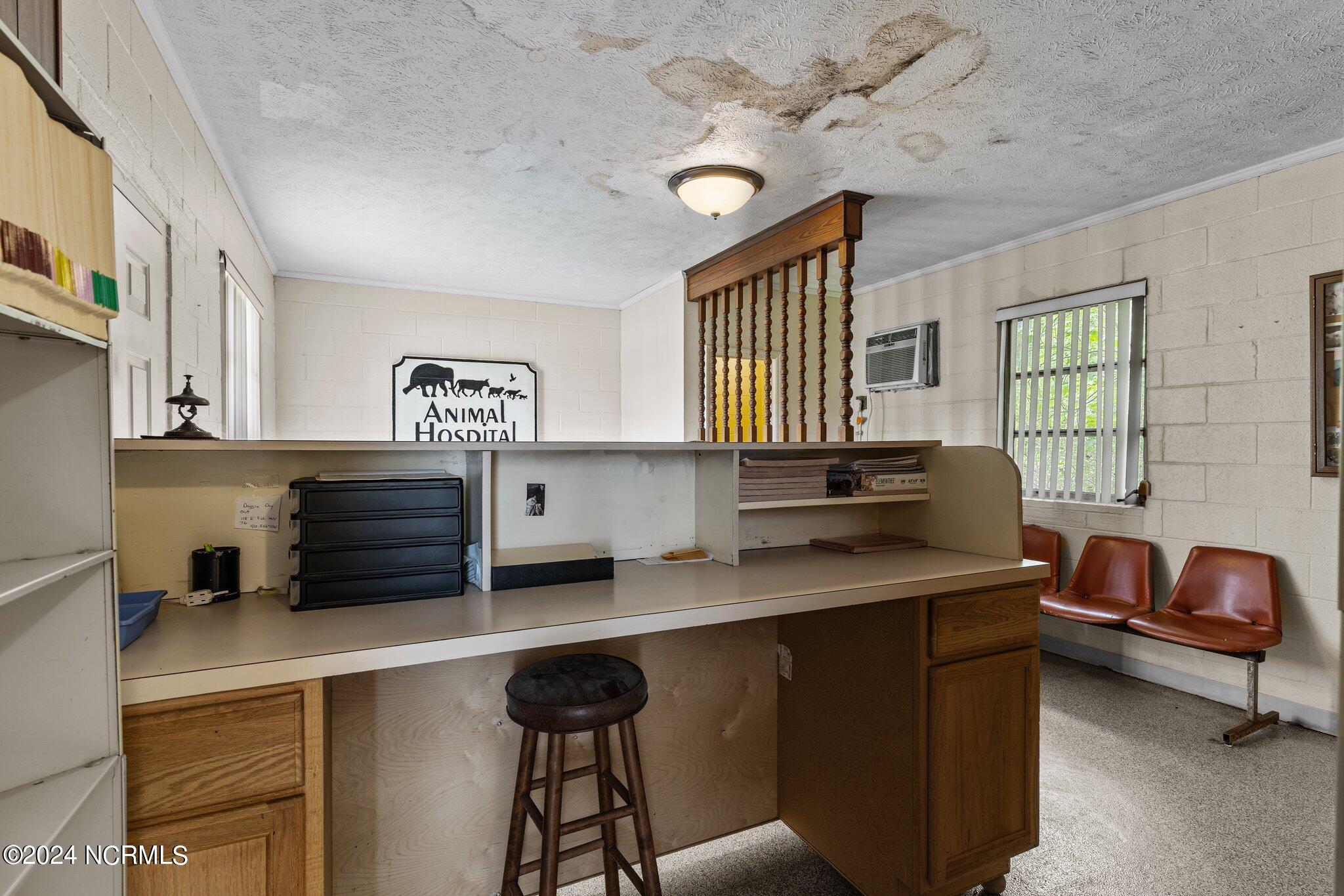 100517313 | Photo 11