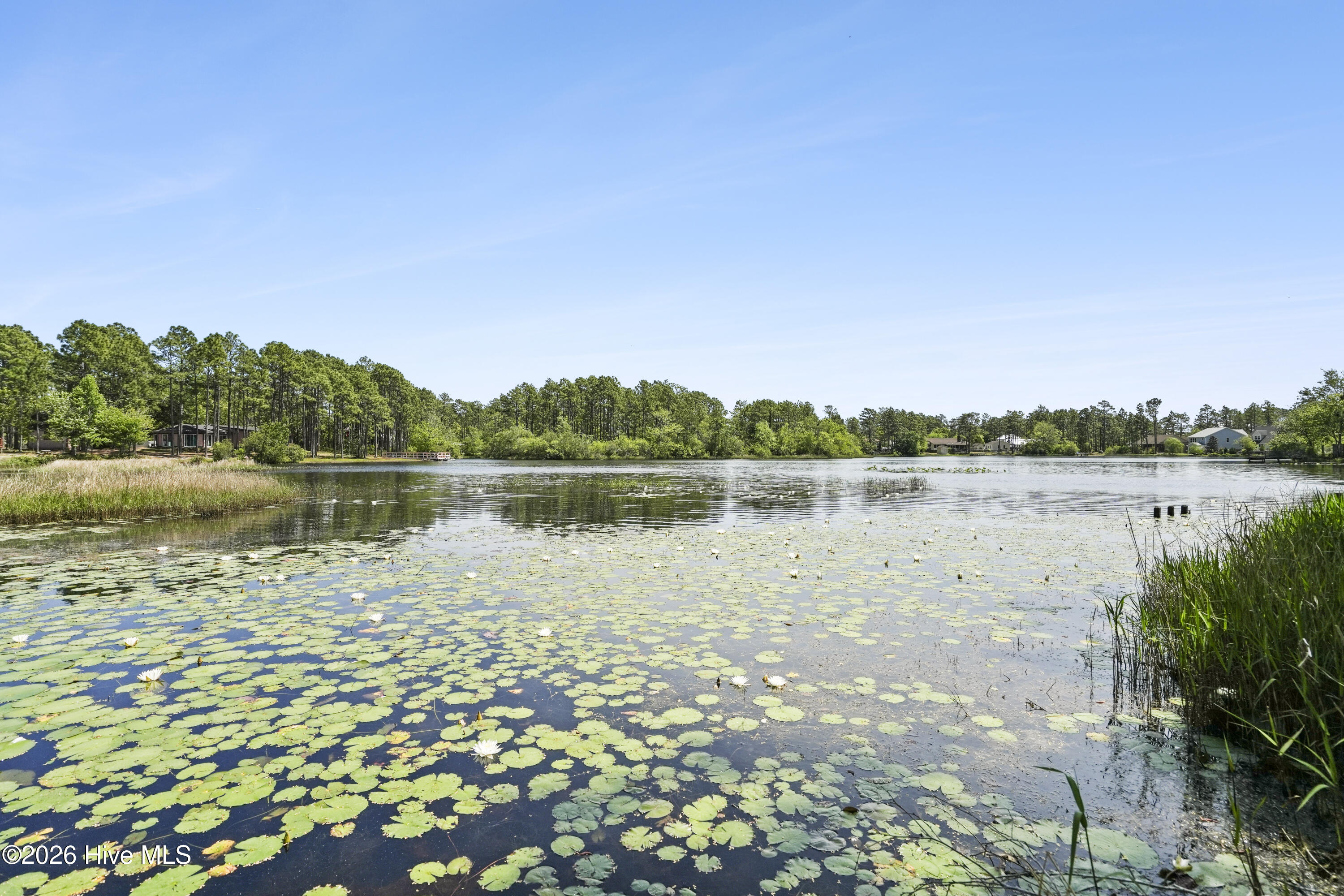 100570159 | Photo 22