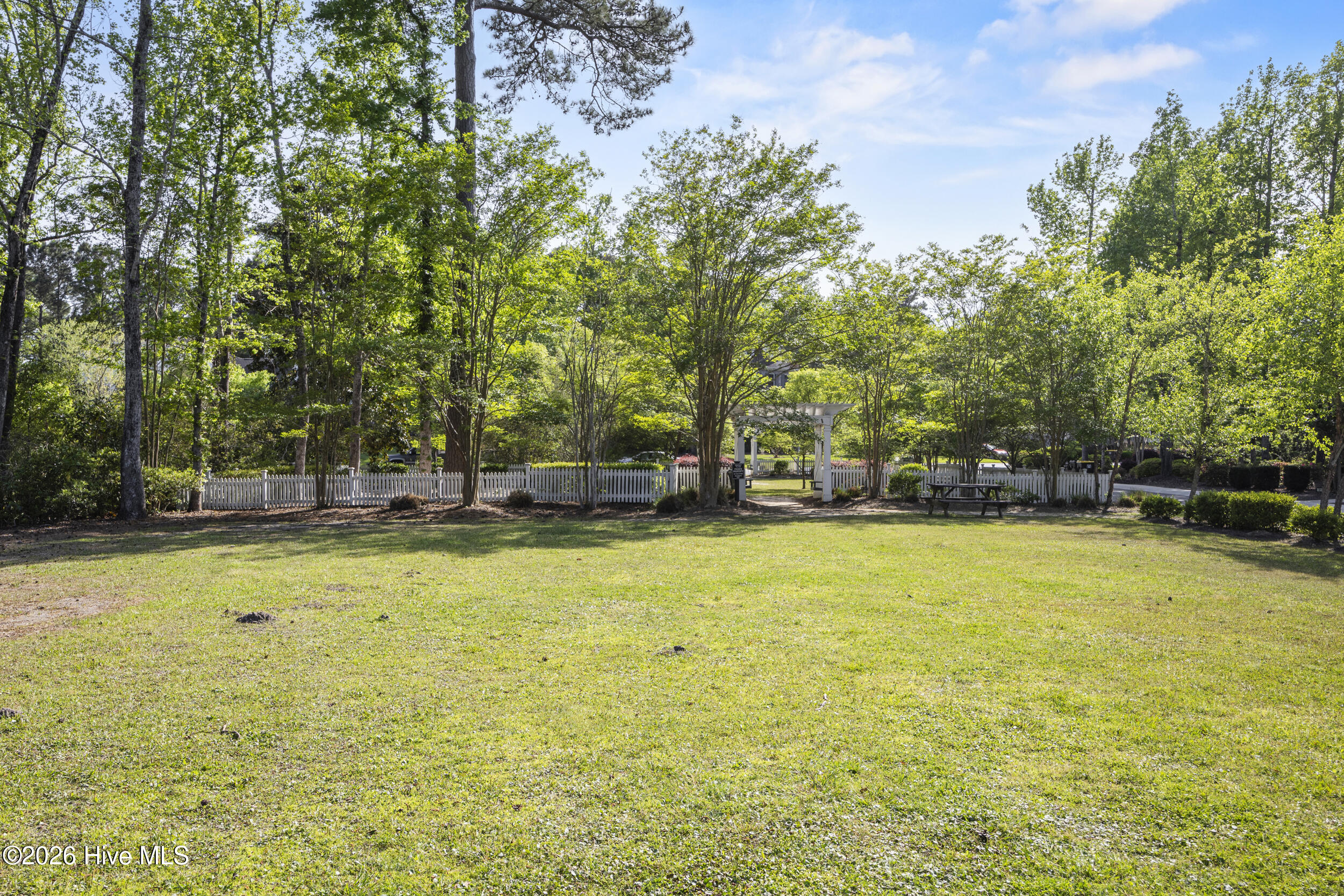 100567913 | Photo 59