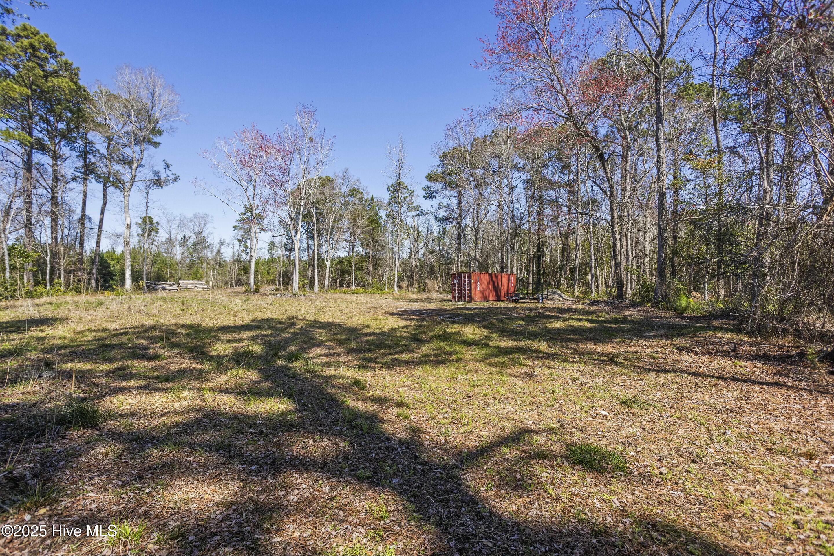 100495483 | Photo 23