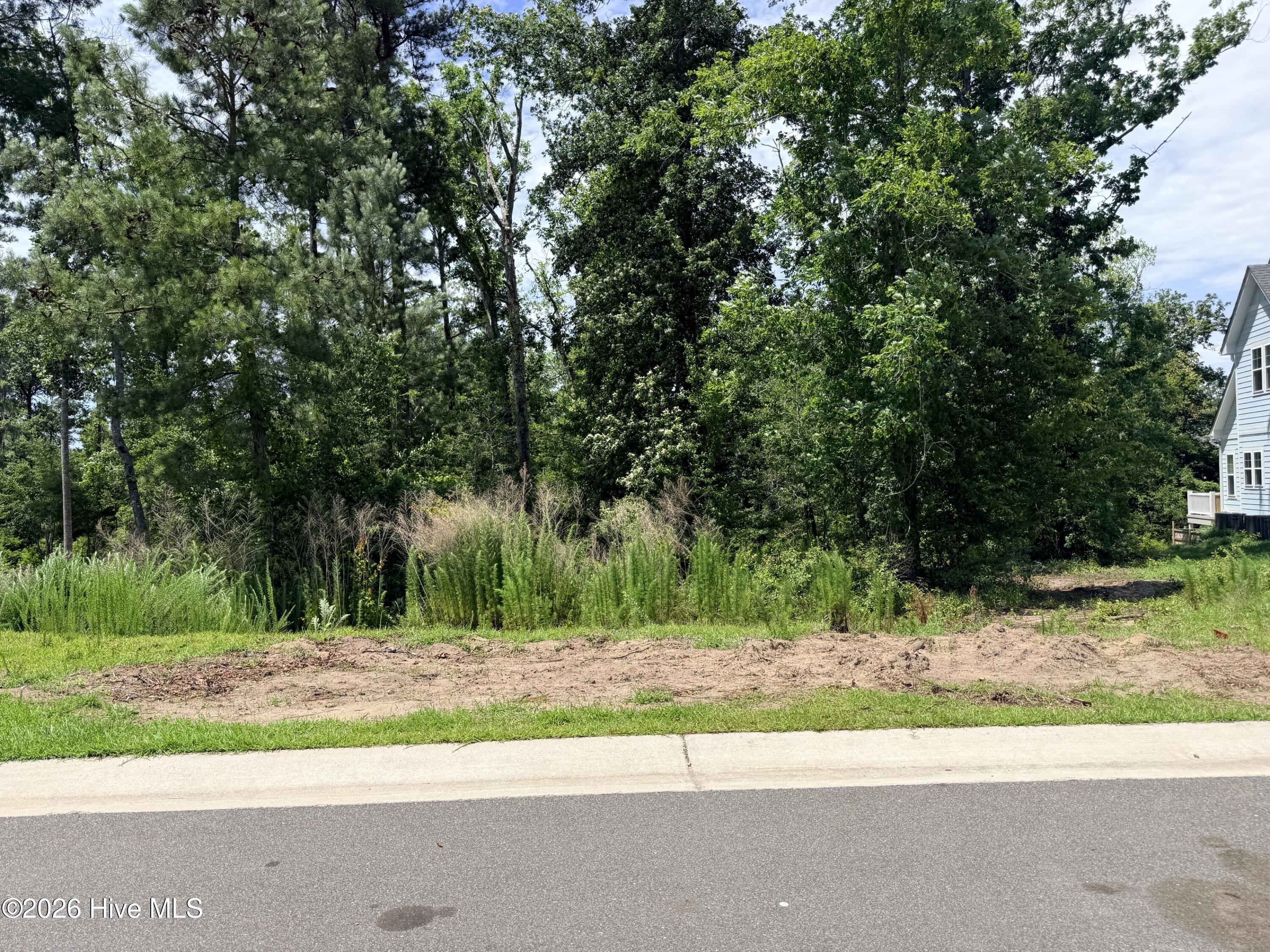 Shirley Johnson - MLS Number: 100493781