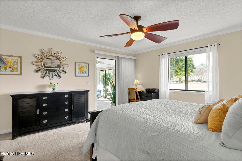 100558966 | Photo 16