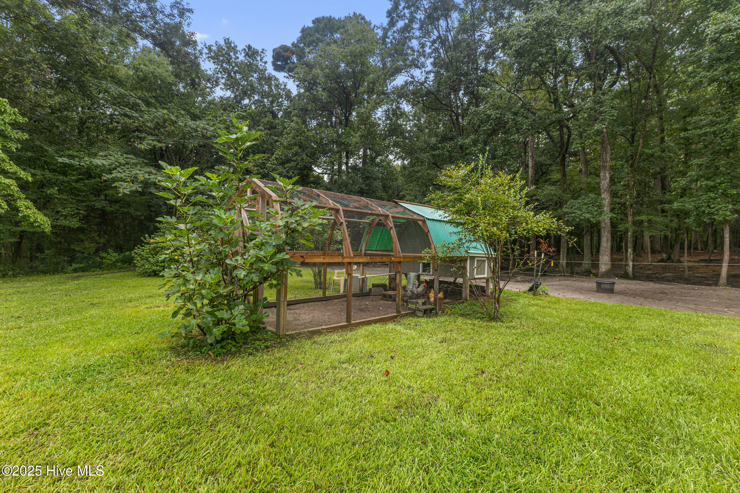 100524507 | Photo 32