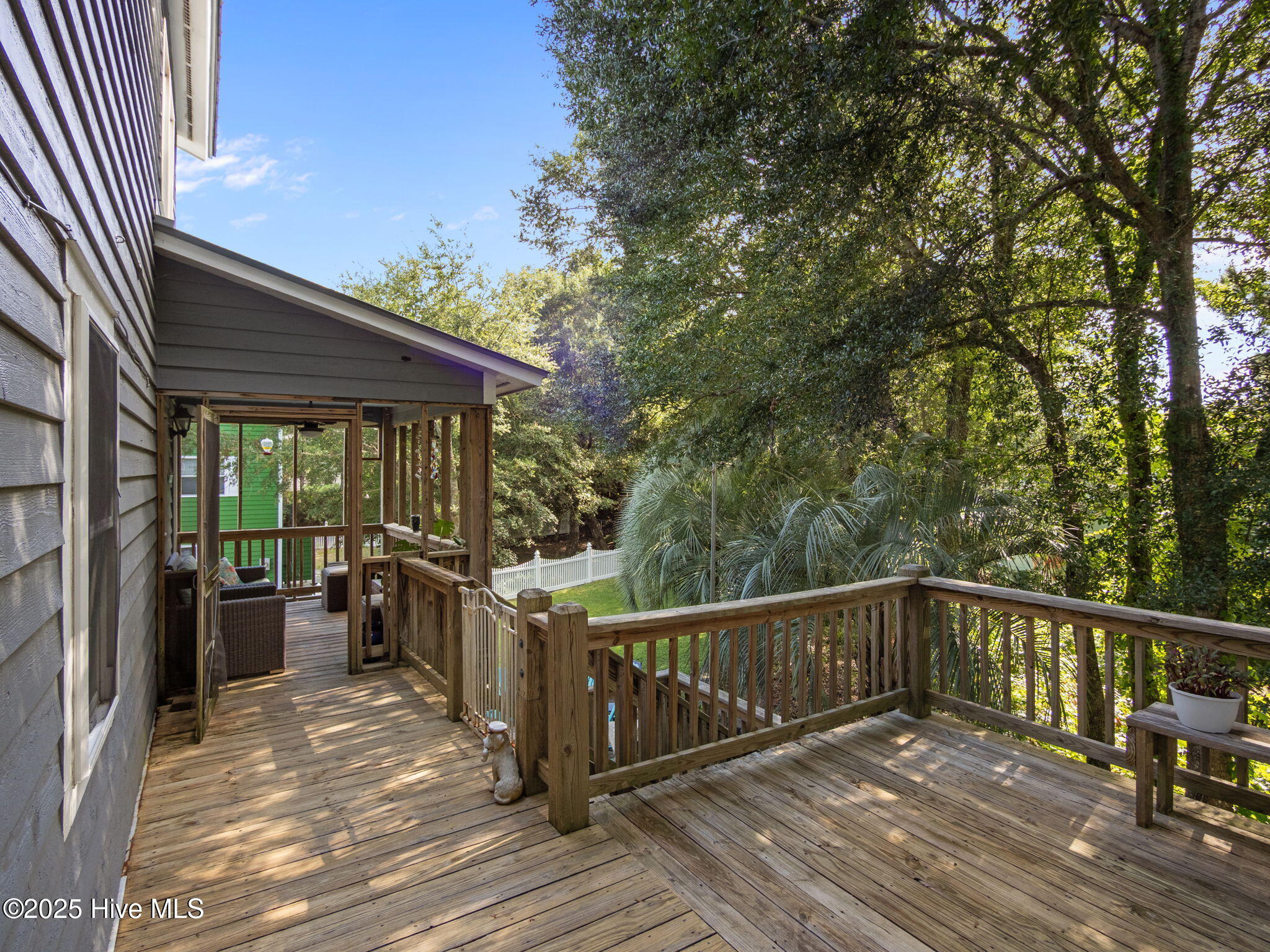 100535865 | Photo 51