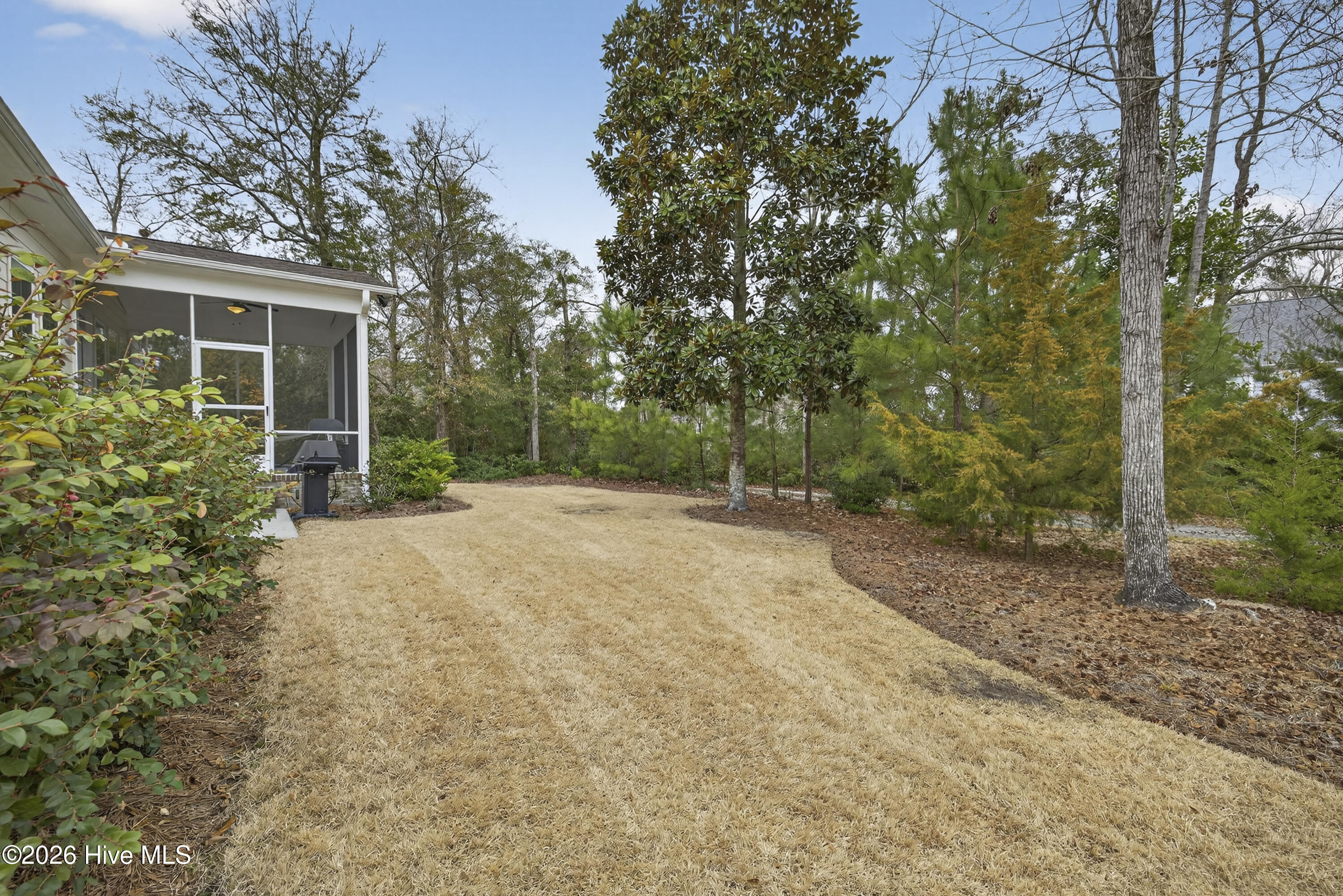 100558157 | Photo 43