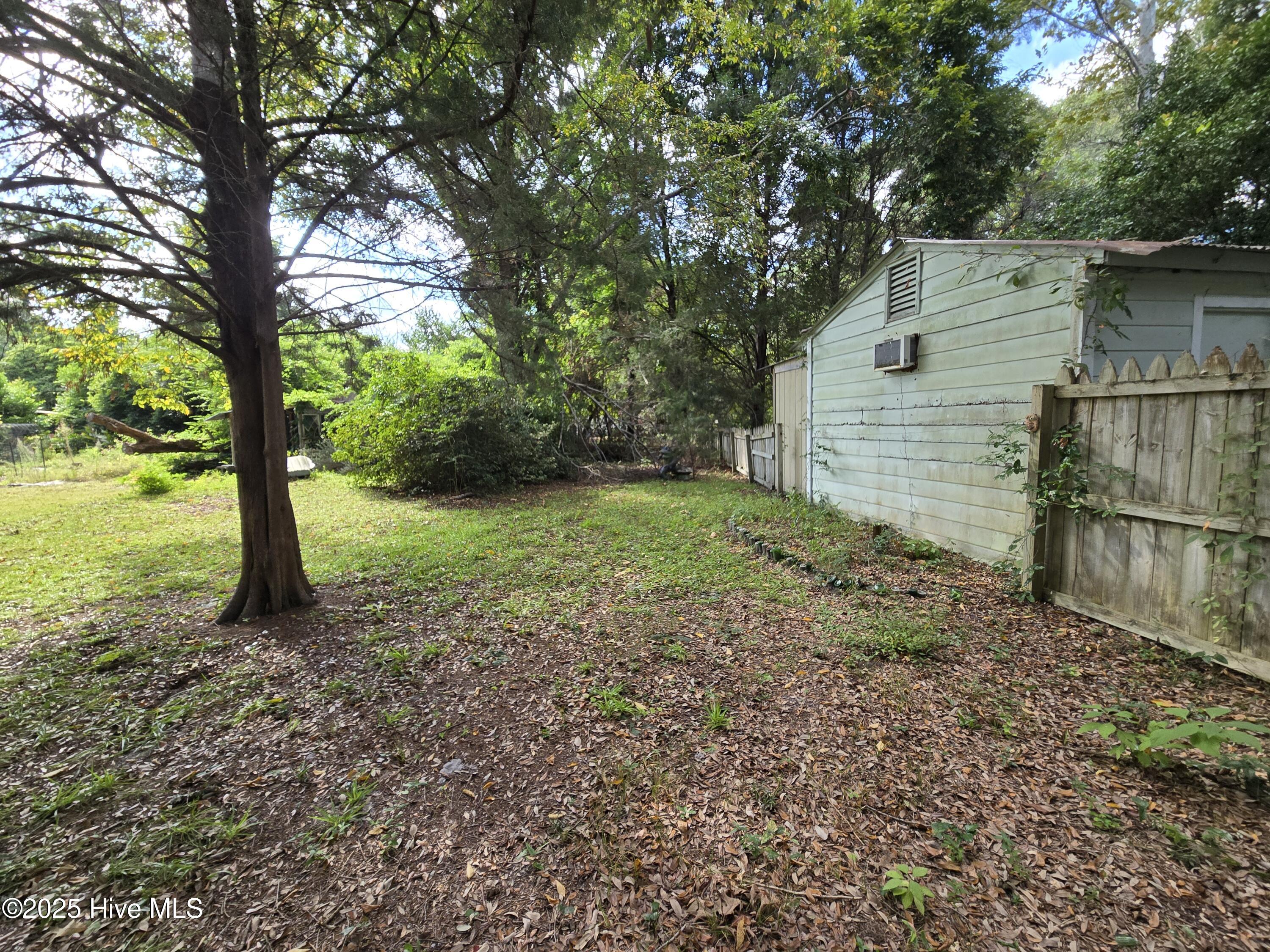 100531418 | Photo 33