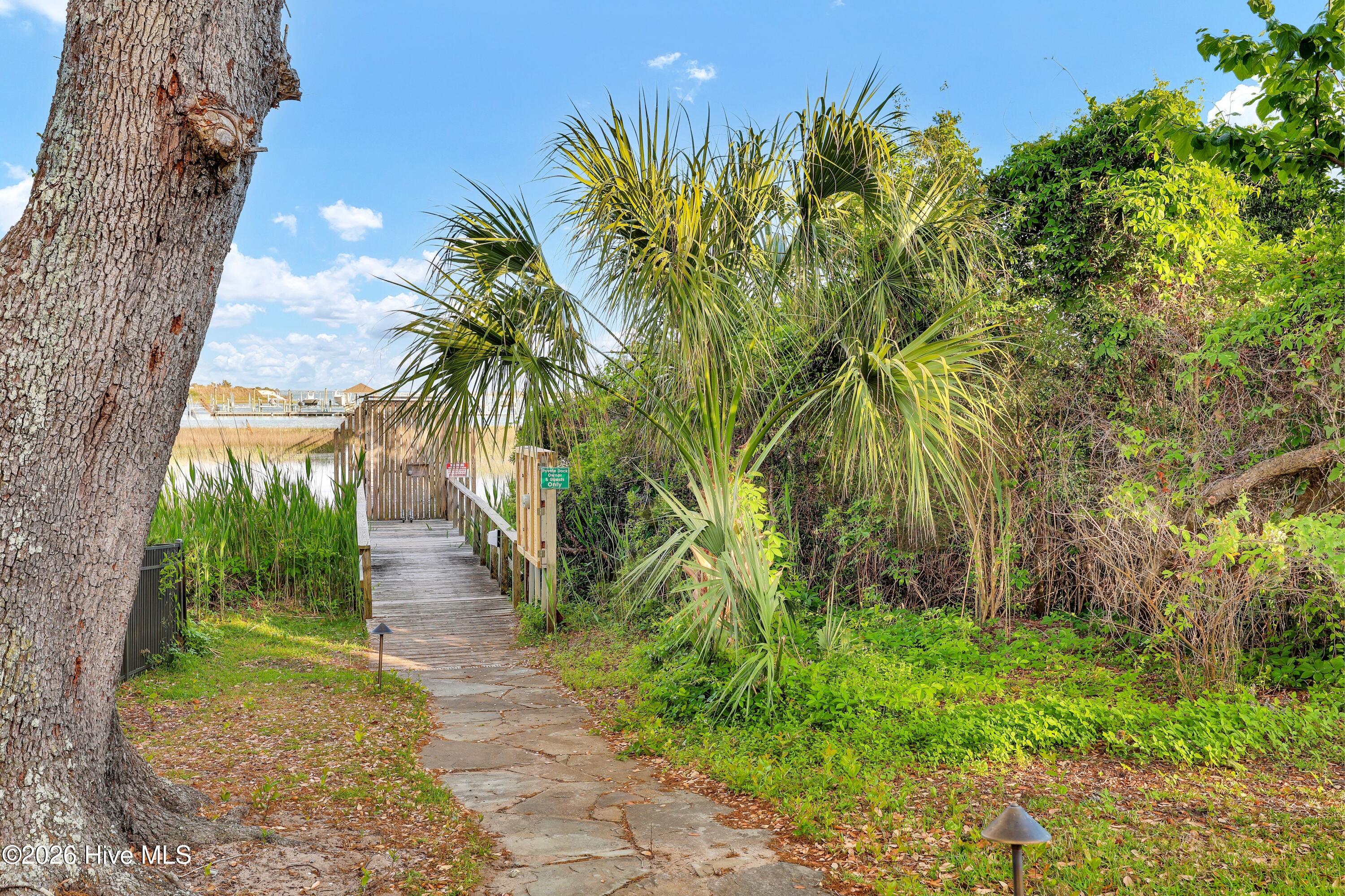 100569484 | Photo 93