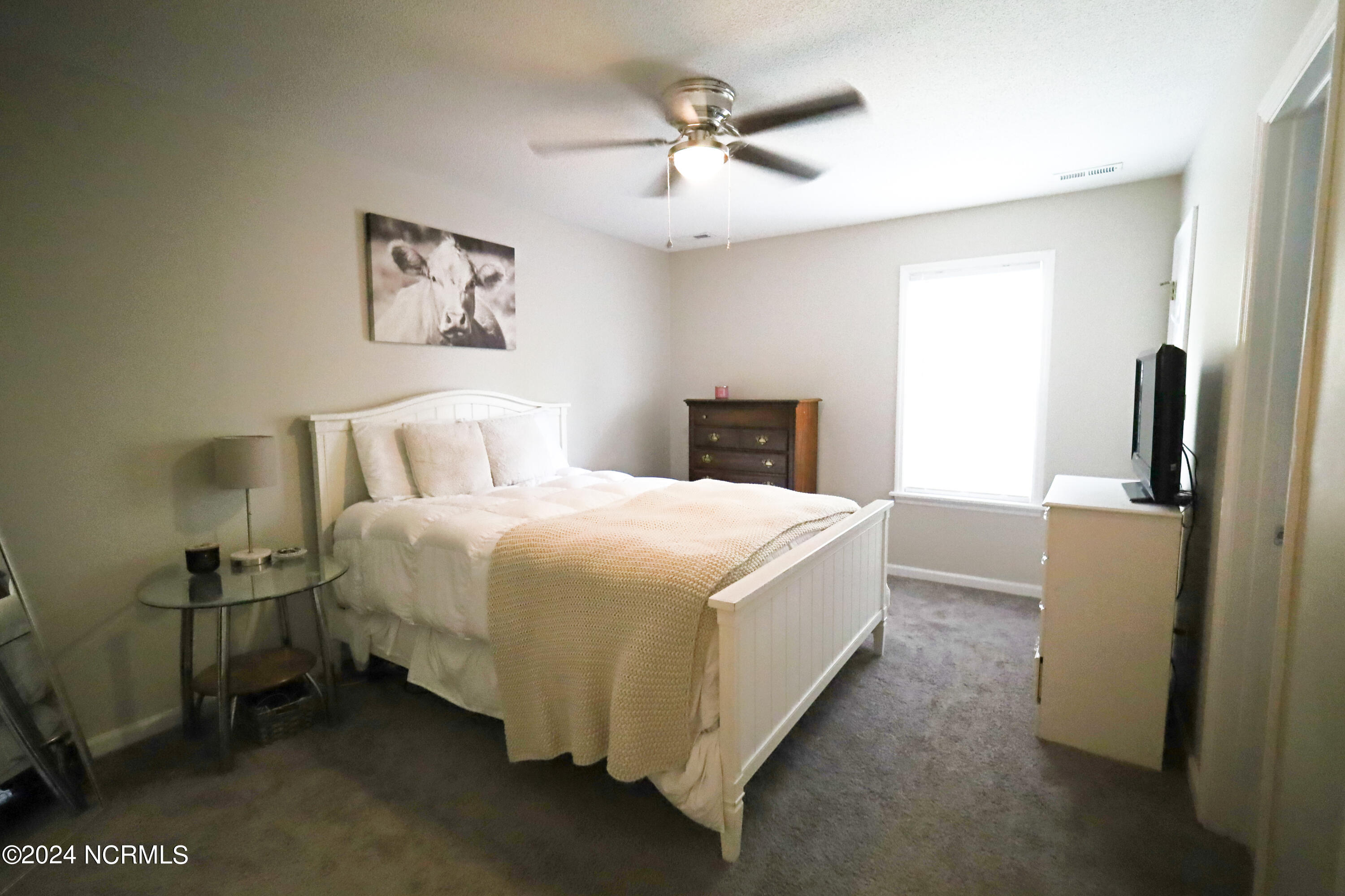 100558386 | Photo 25