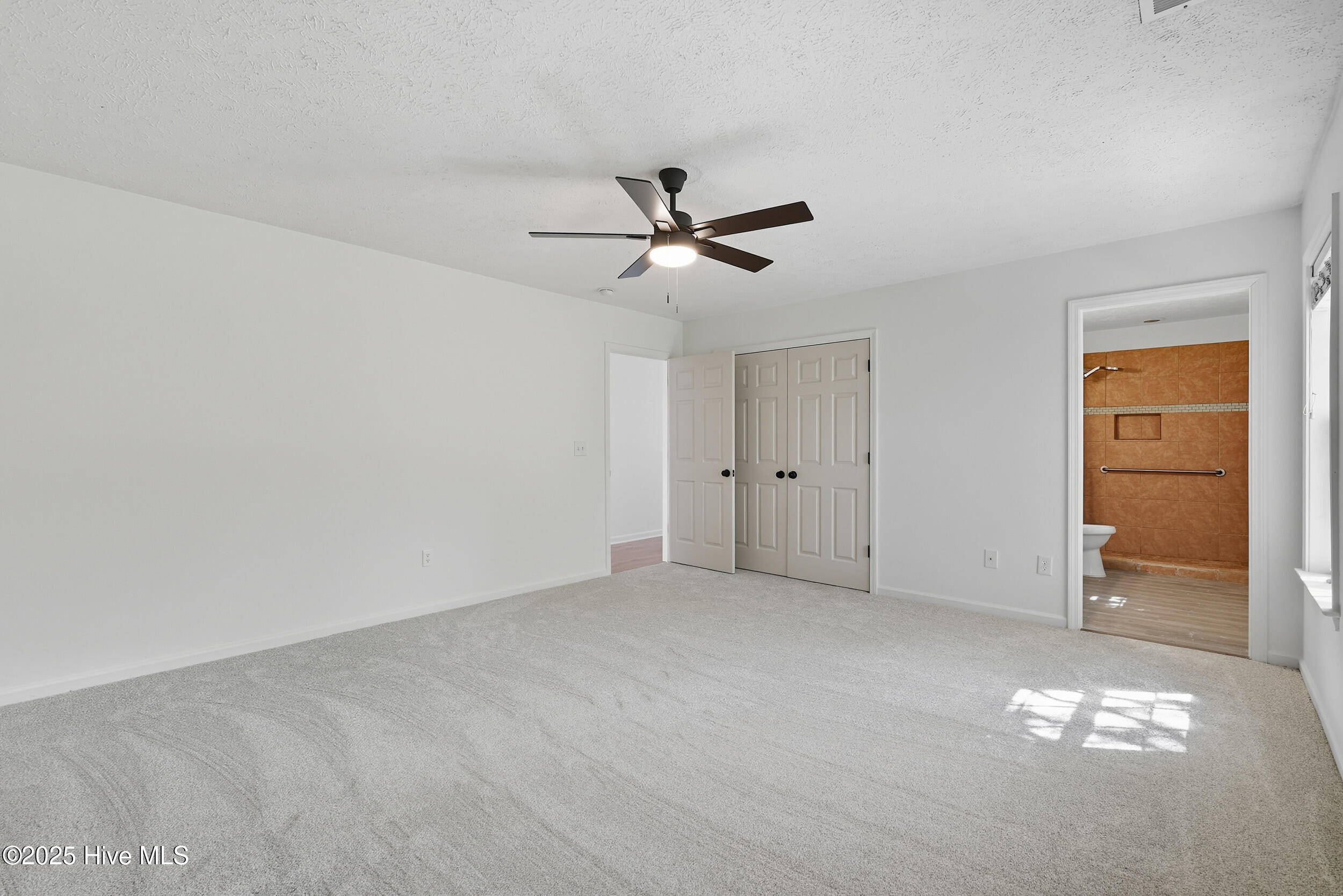 100533077 | Photo 17