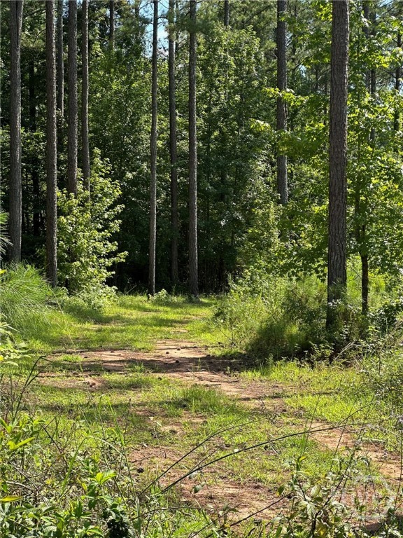 00 Fears, Madison, GA, 30650