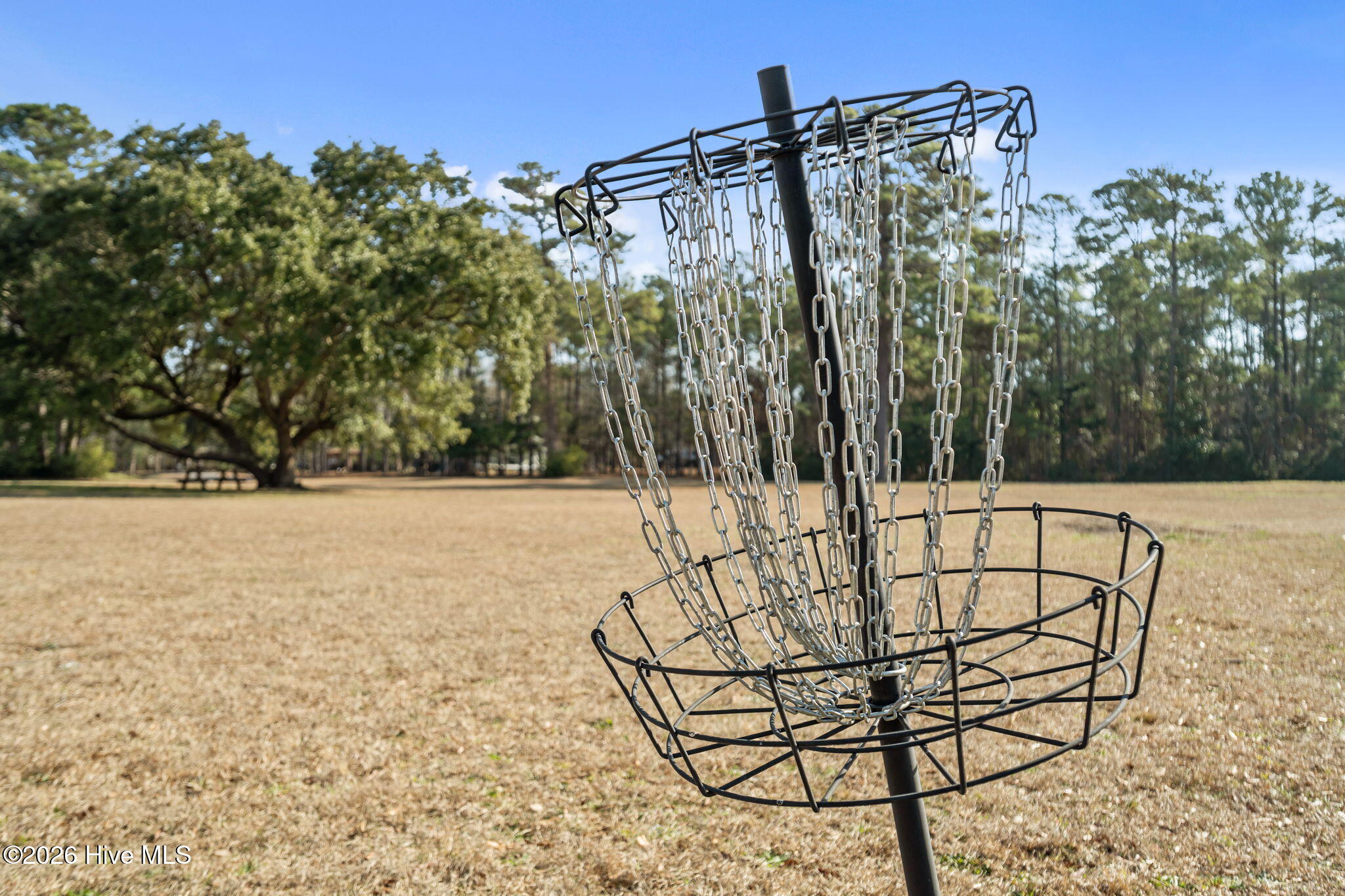 100540985 | Photo 57