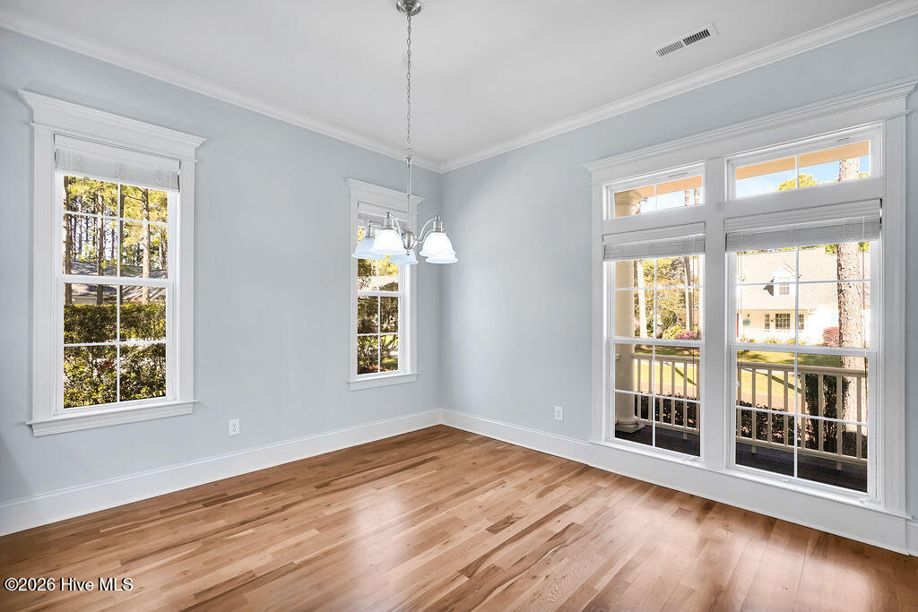 100566993 | Photo 13