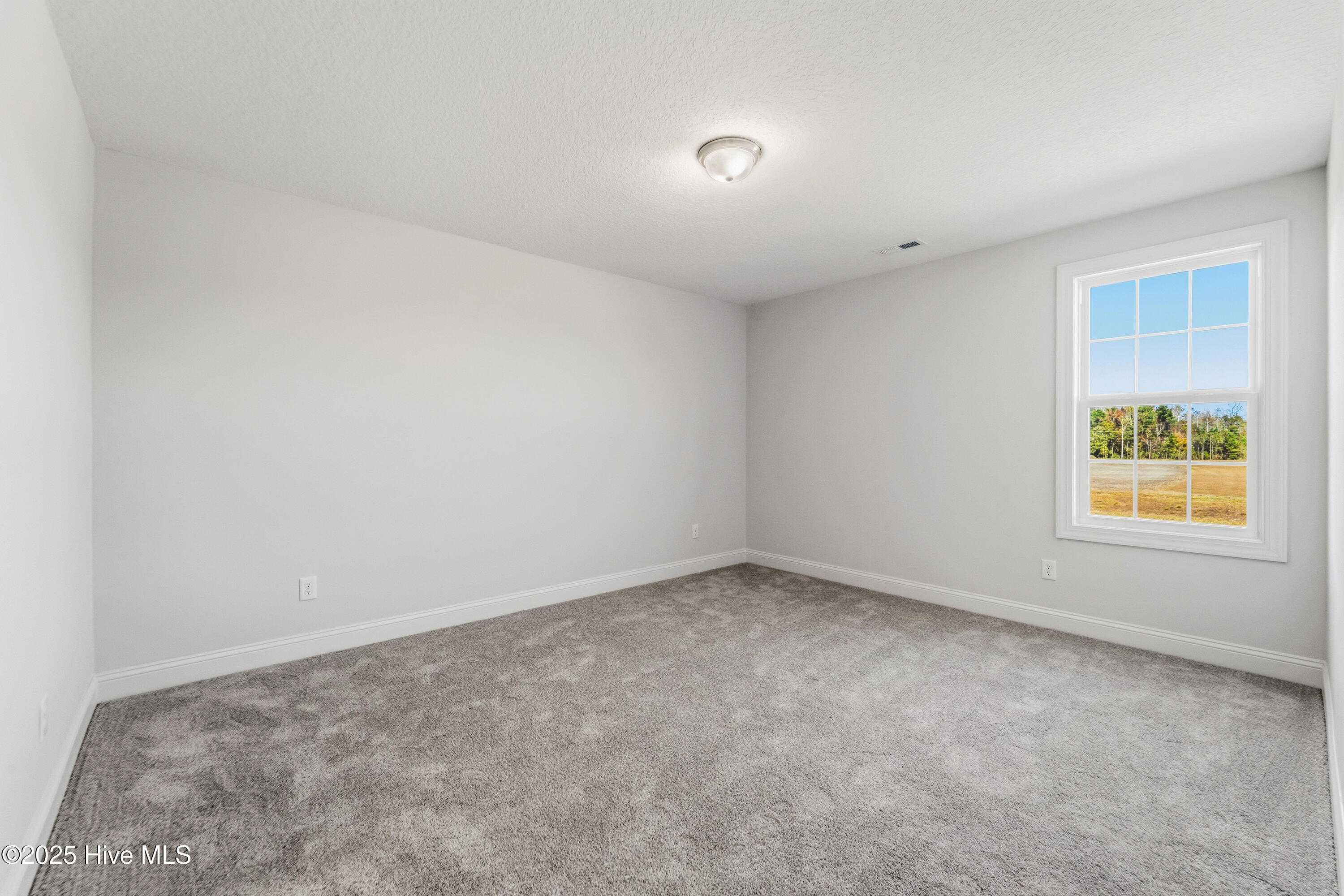 100507168 | Photo 36