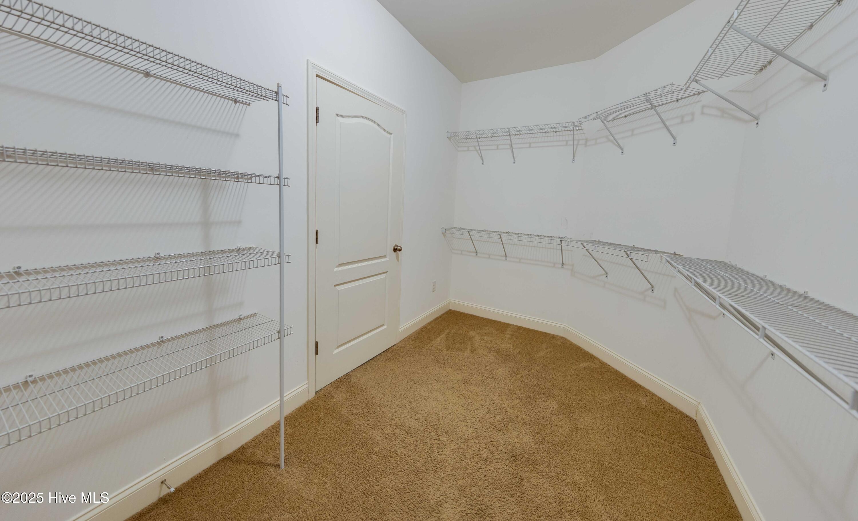 100504792 | Photo 31