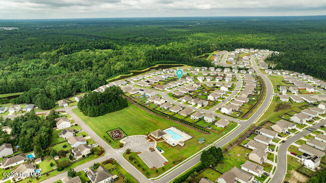 100528585 | Photo 43