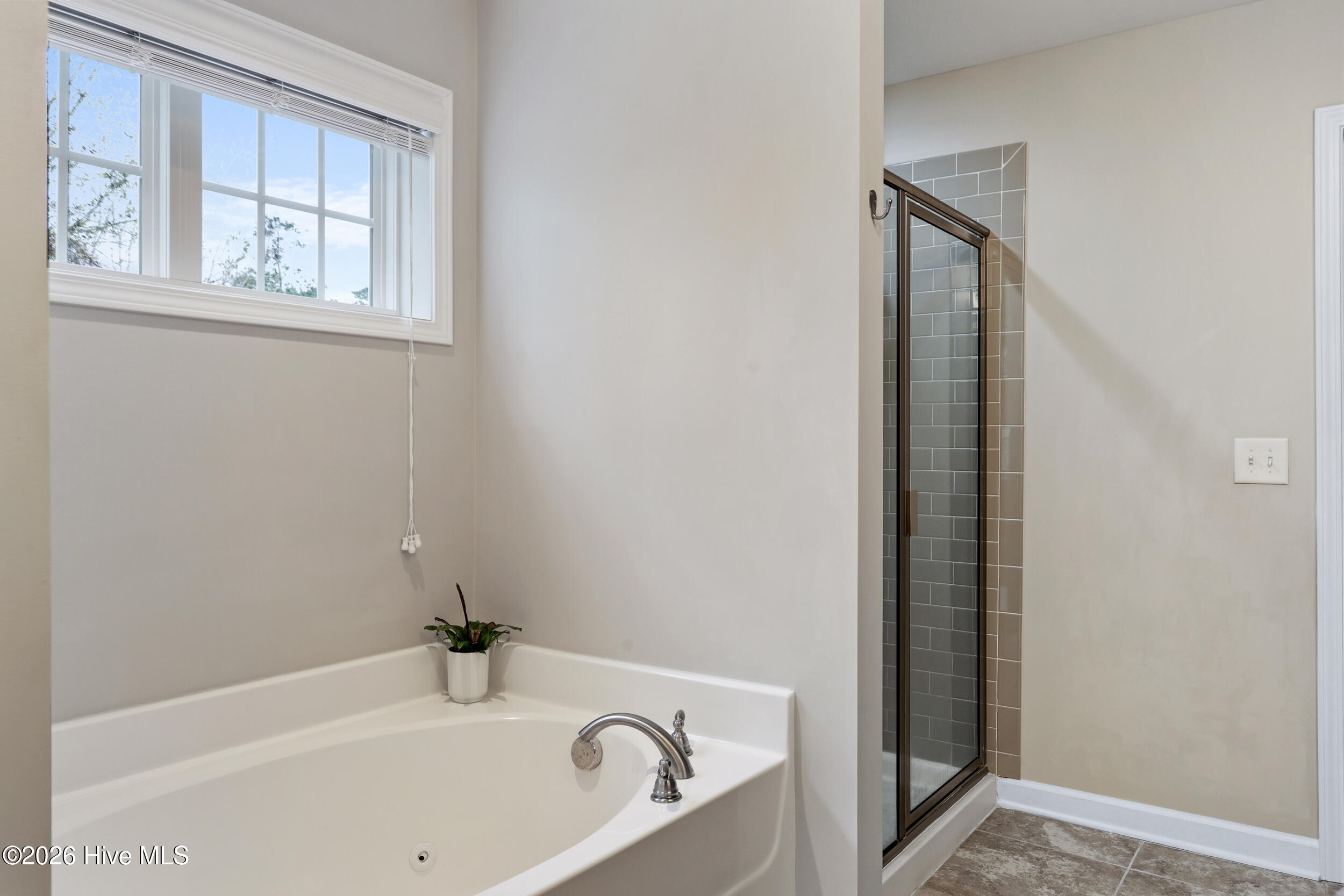 100562179 | Photo 35