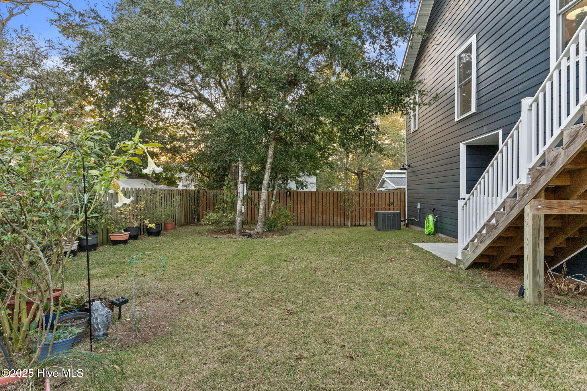 100564542 | Photo 58