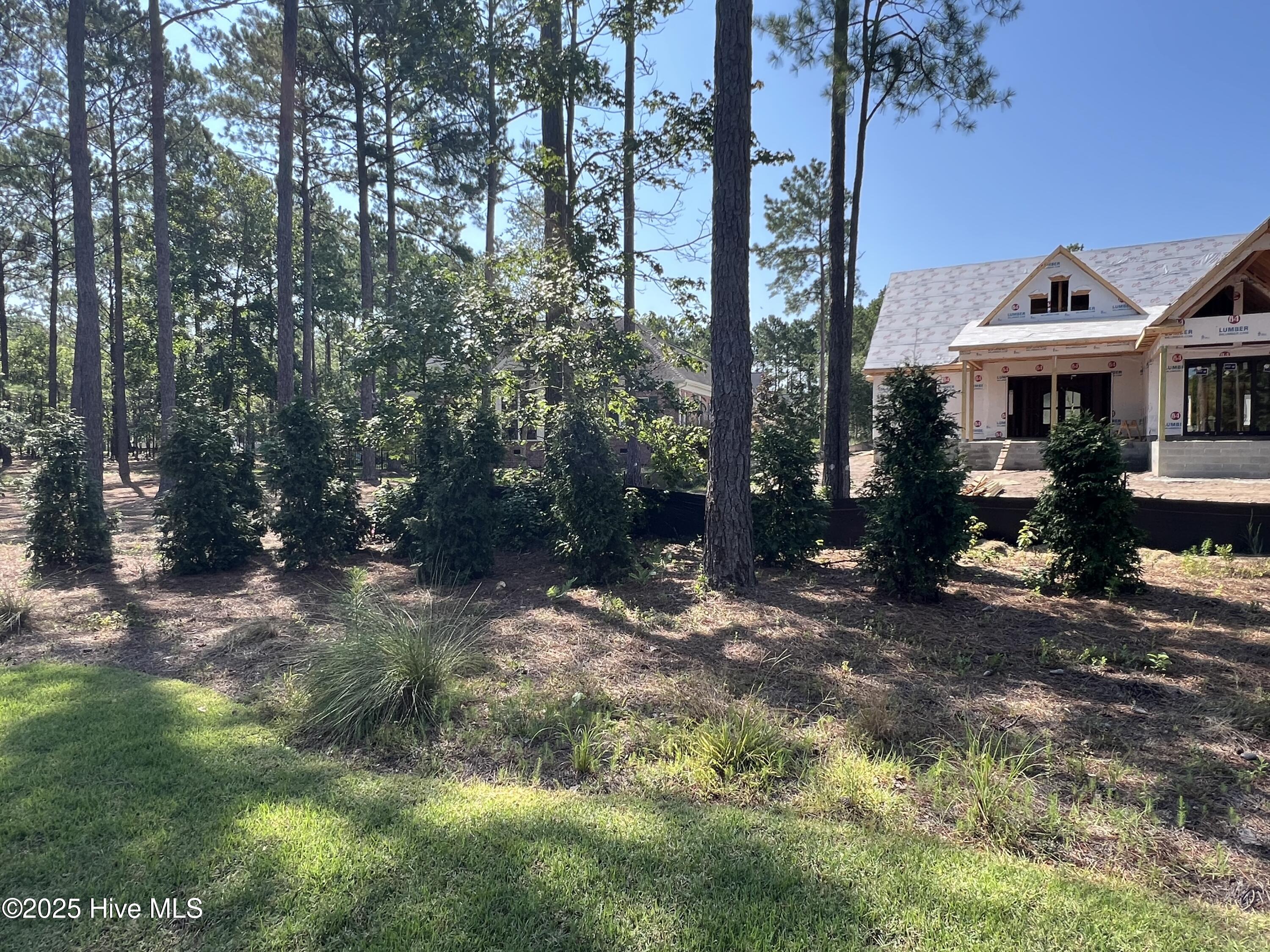 100518368 | Photo 94