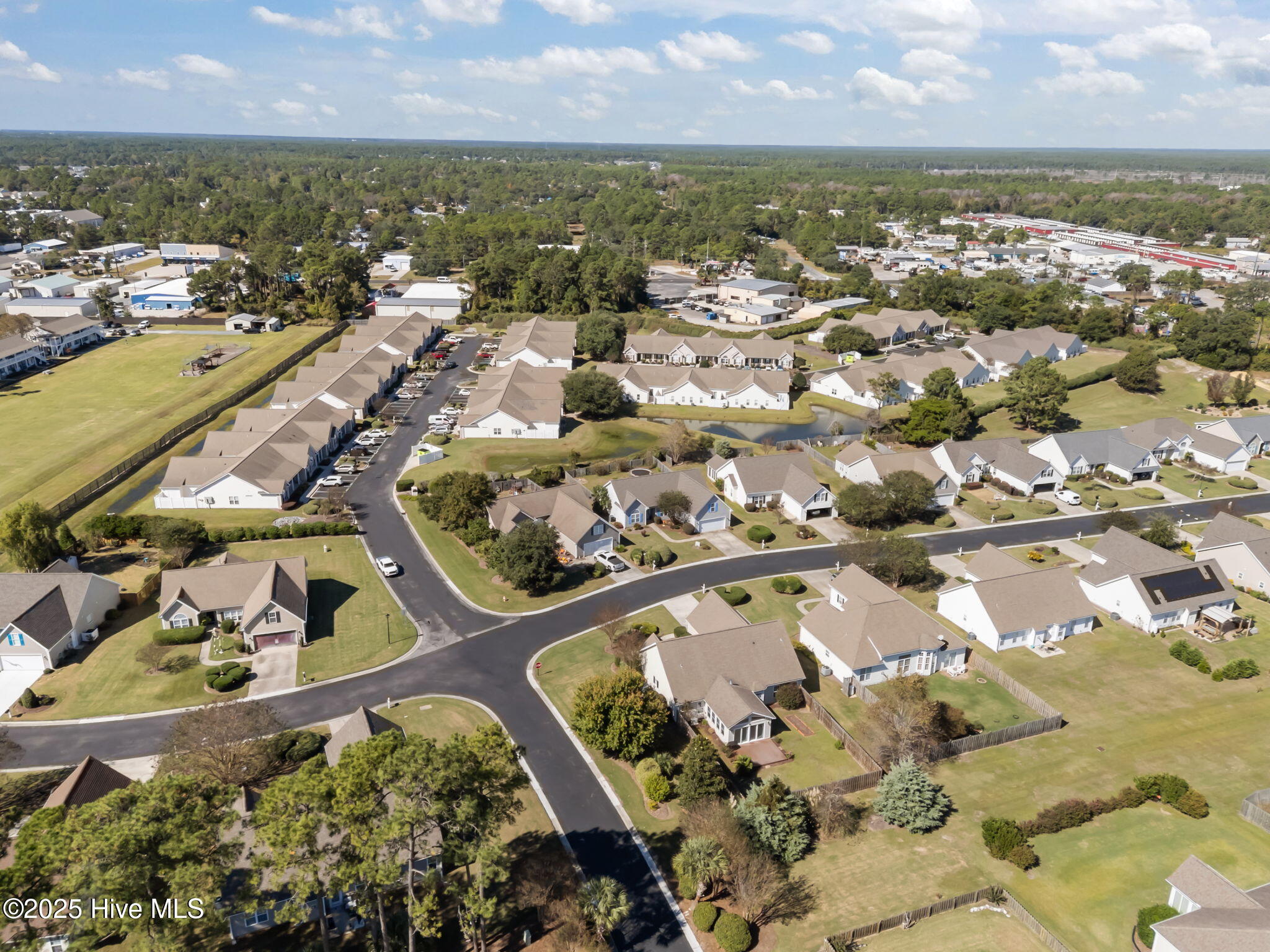 100537939 | Photo 48