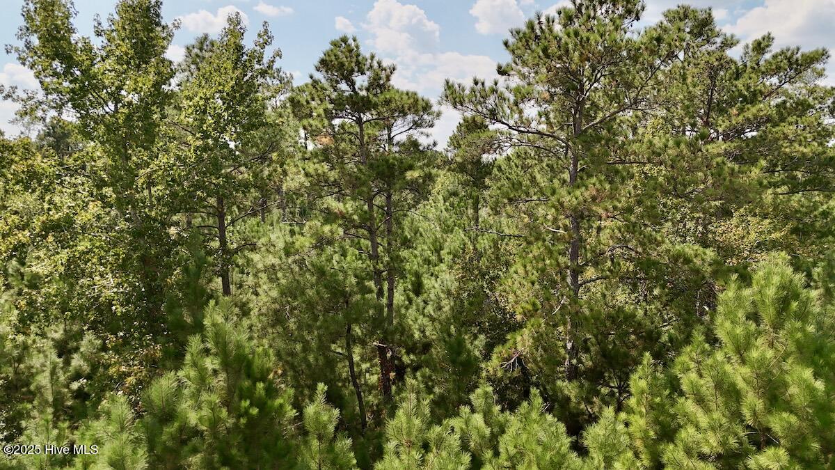 100531803 | Photo 27