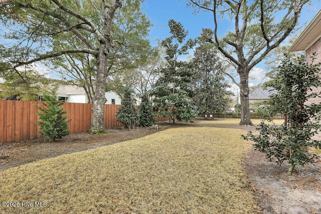 100554973 | Photo 45