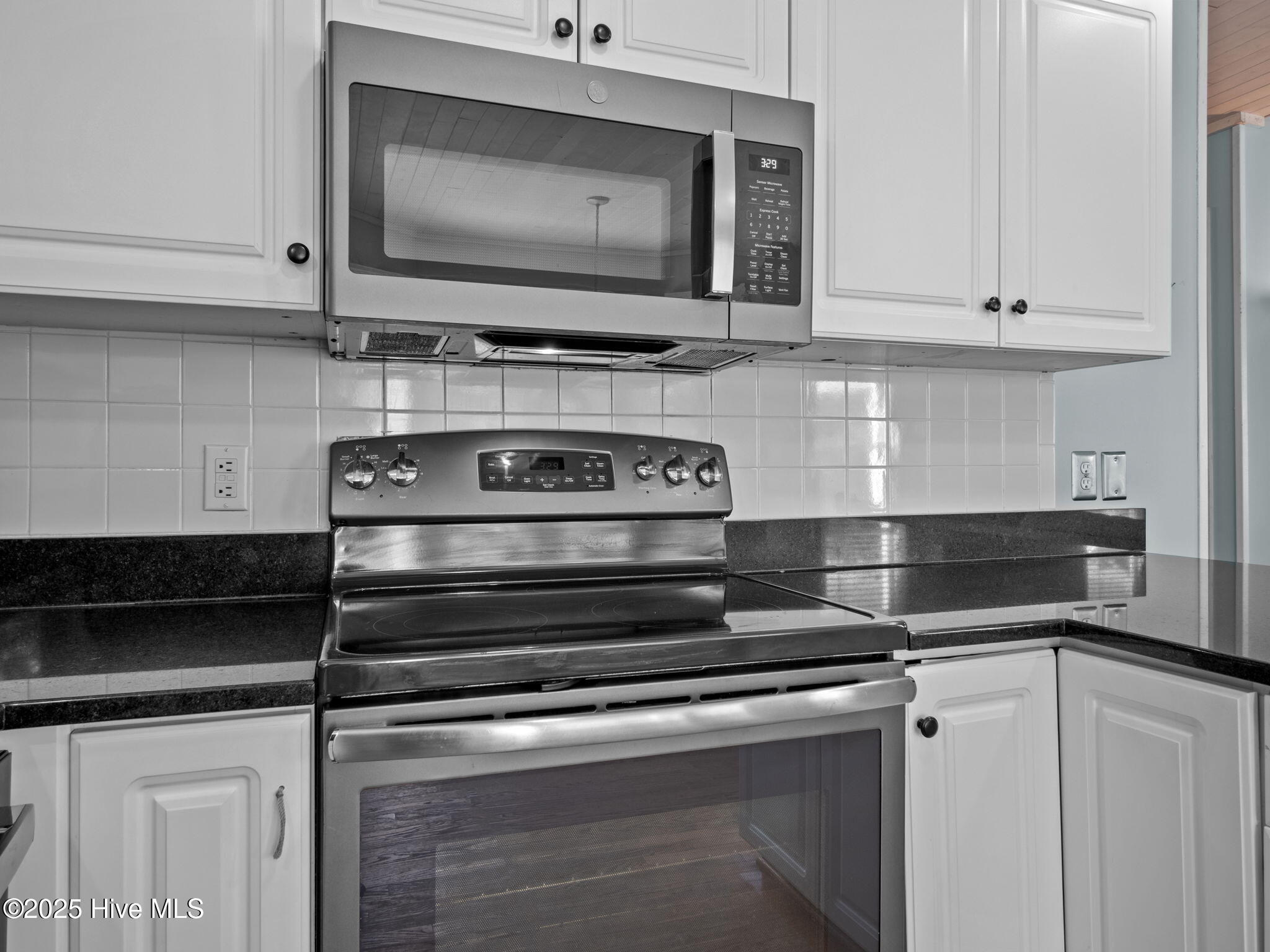 100535865 | Photo 21