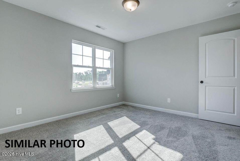 100566505 | Photo 24