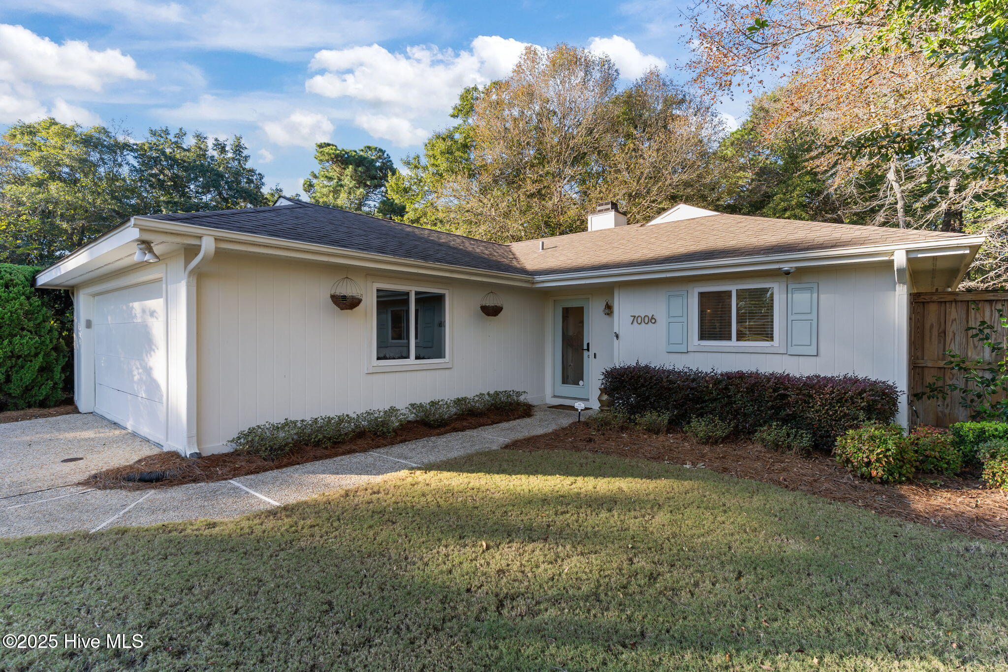 100537422 | Photo 10