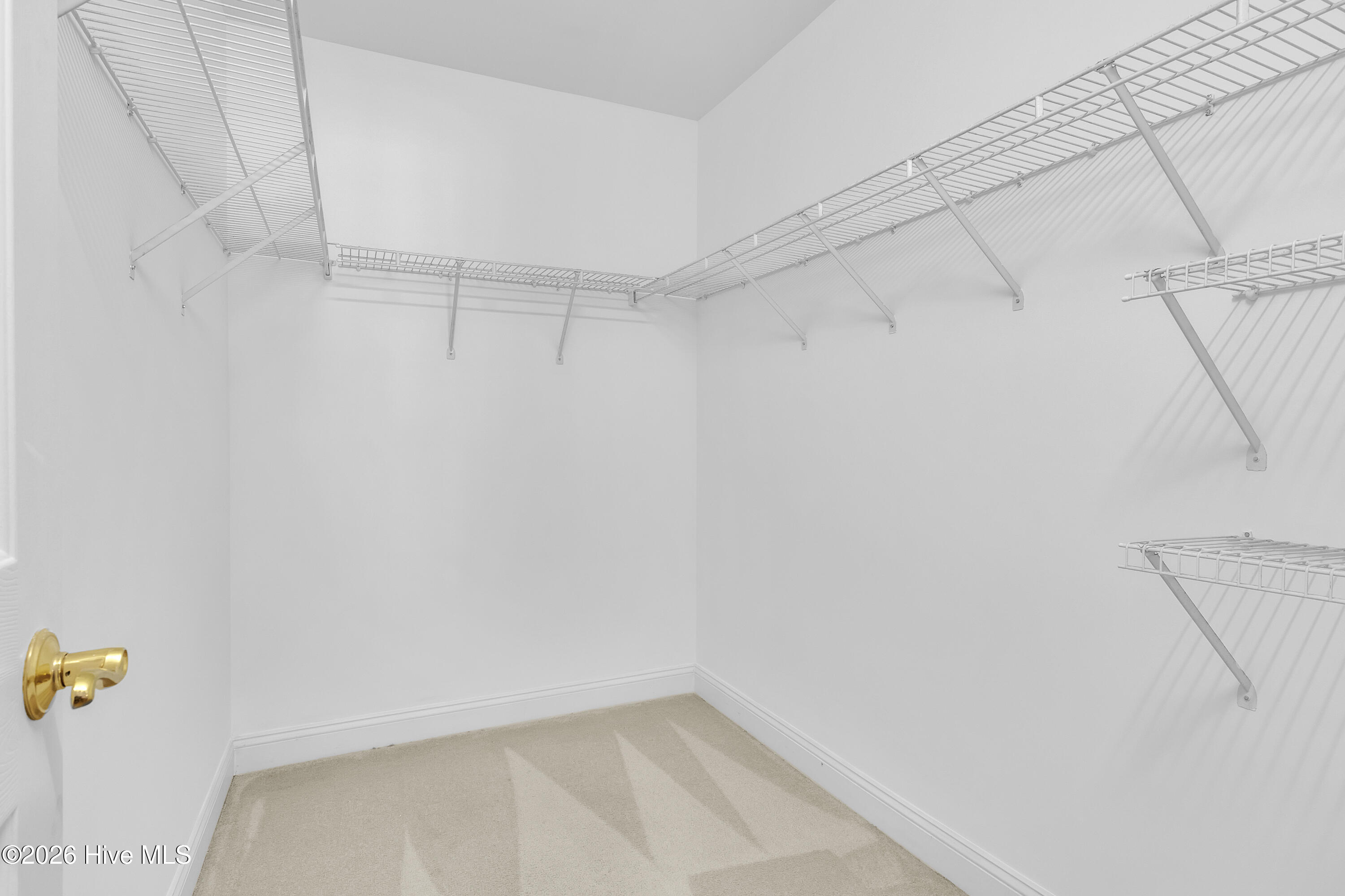 100567649 | Photo 24