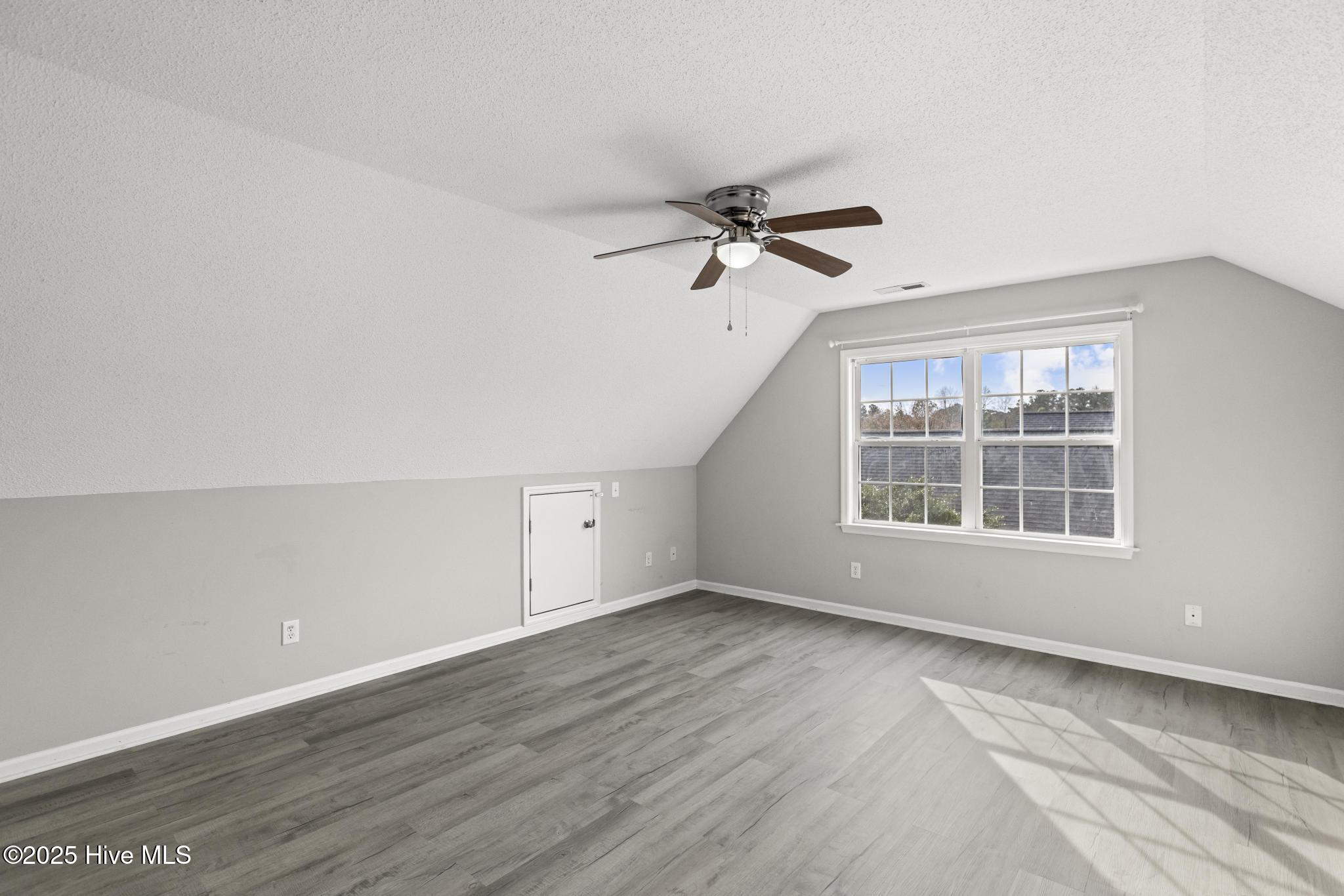 100545087 | Photo 19