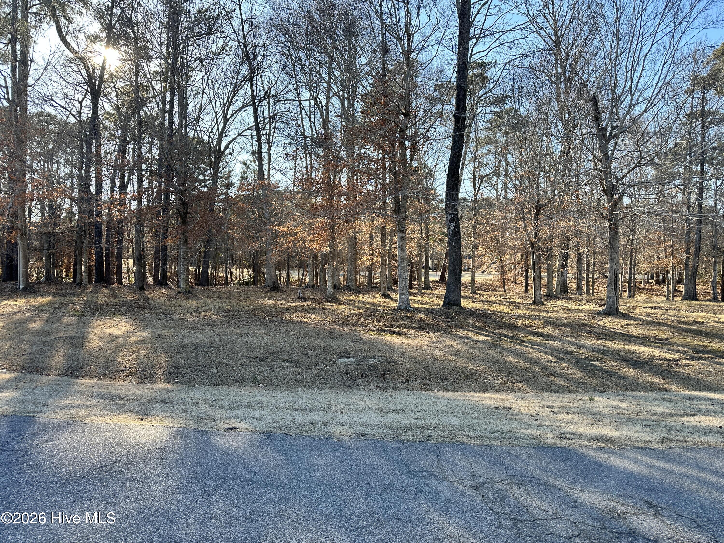 173 Roanoke Drive, Hertford, NC, 27944
