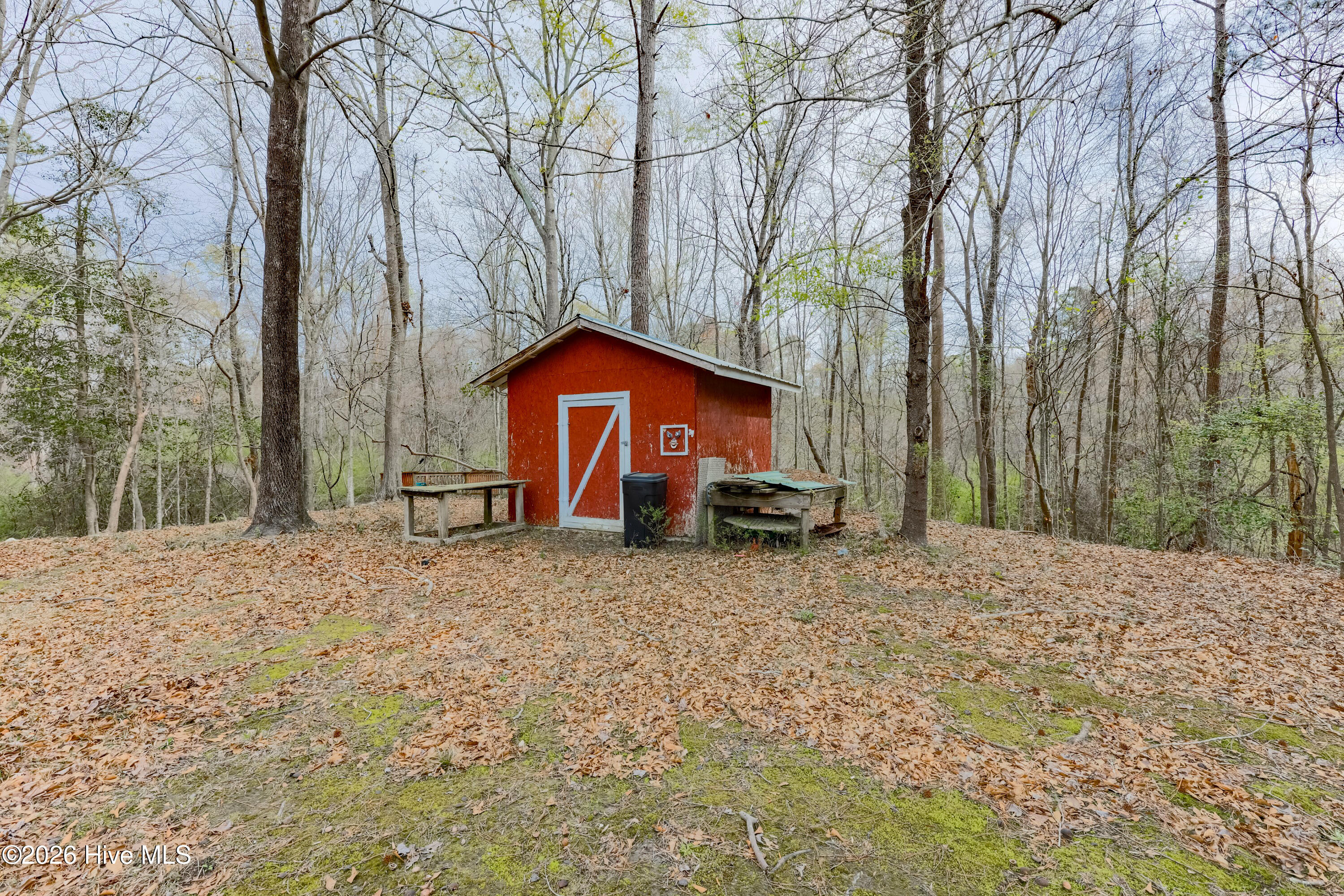 381 Washington Creek Drive, Willard, NC 28478 – photo 21: _K6A0008 (Custom)