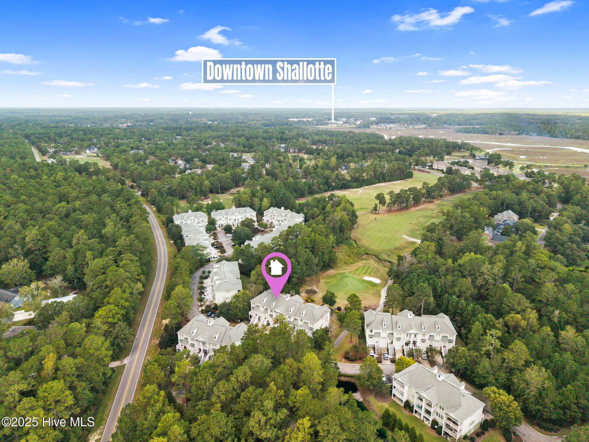 100534473 | Photo 46