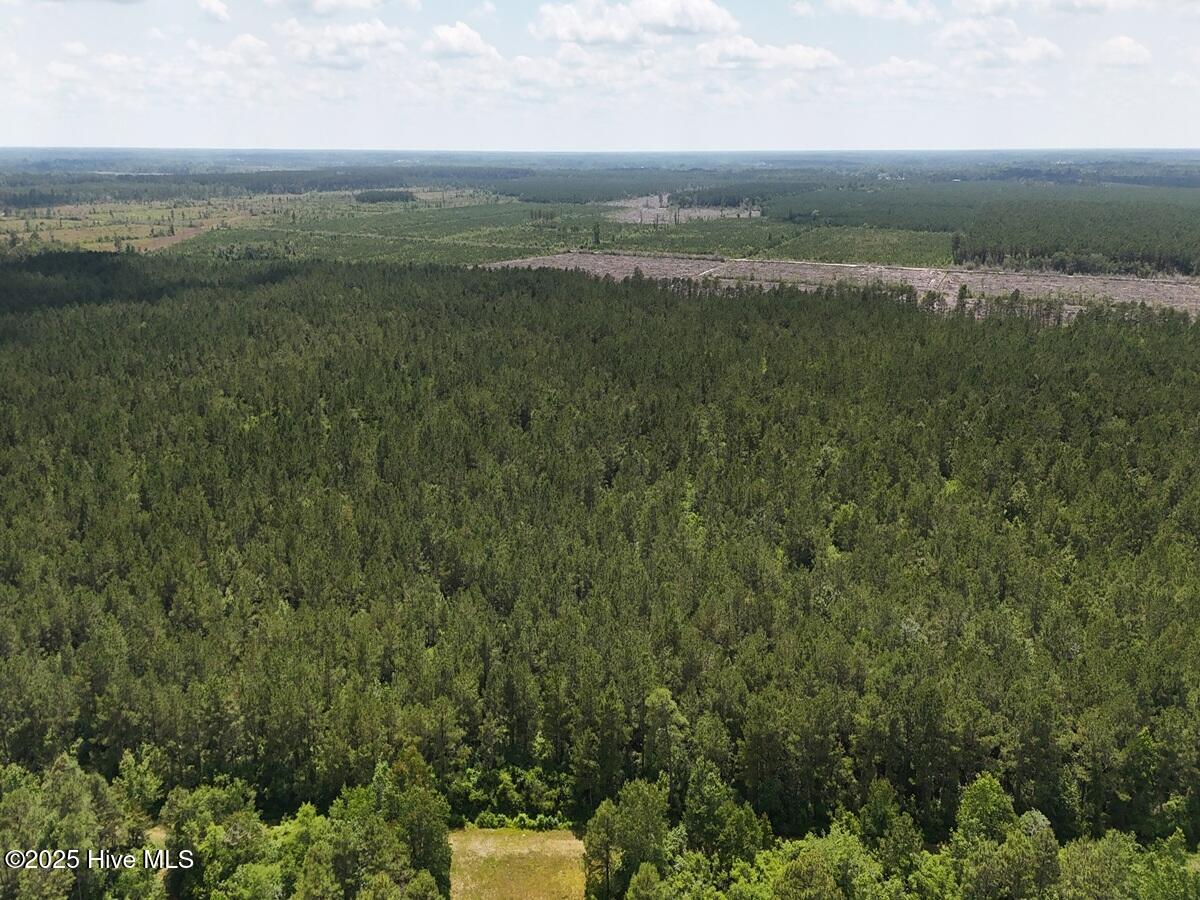 100513588 | Photo 12