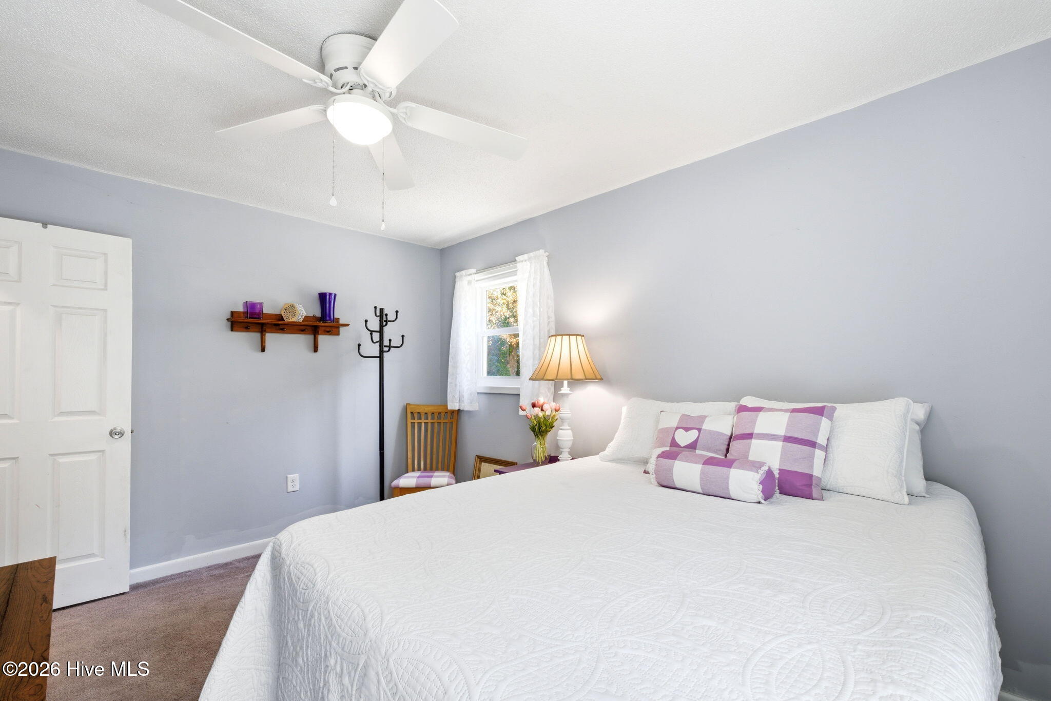 100564618 | Photo 34