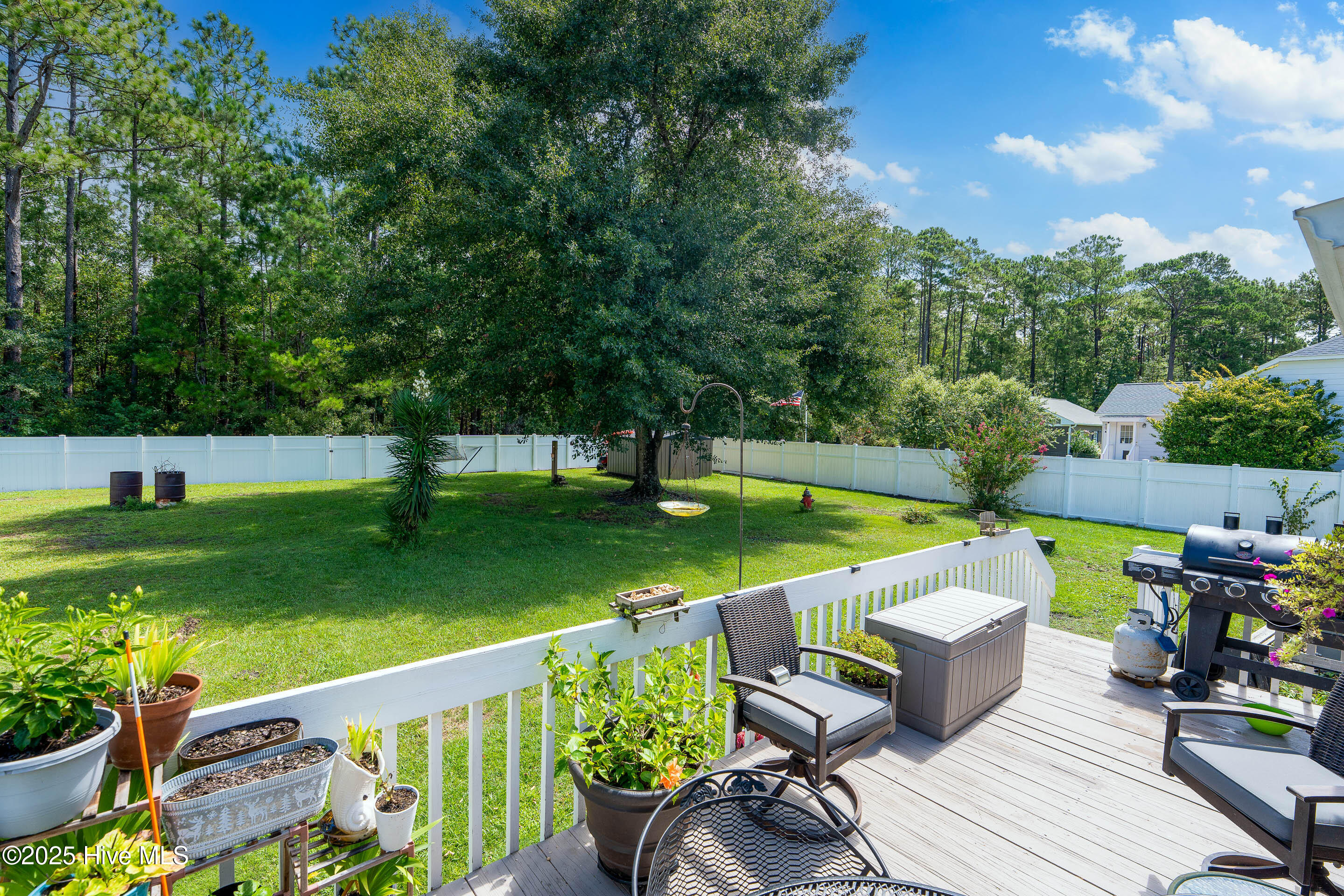 100523707 | Photo 40