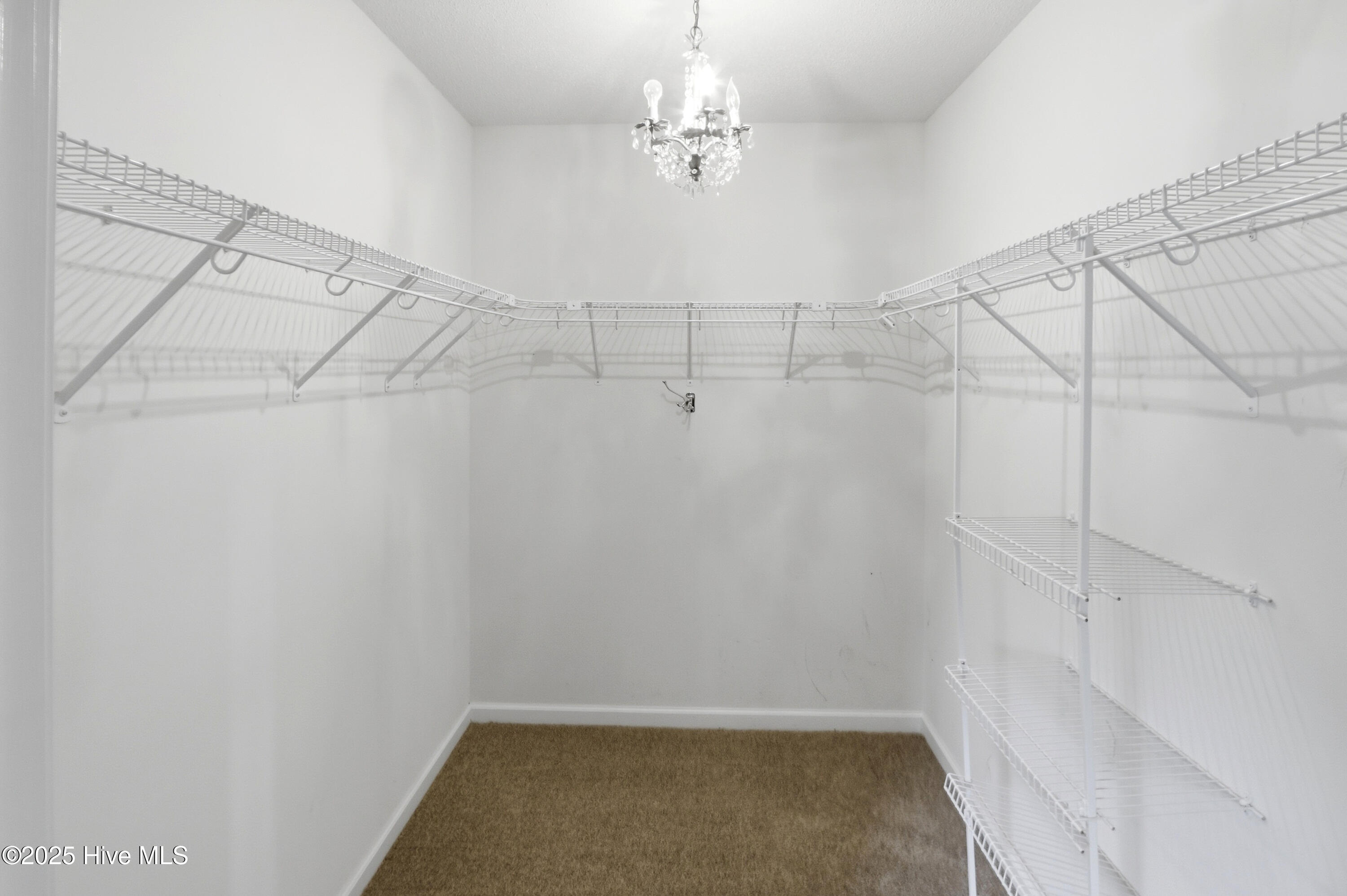 100531186 | Photo 22