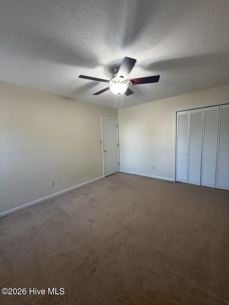 100567507 | Photo 13